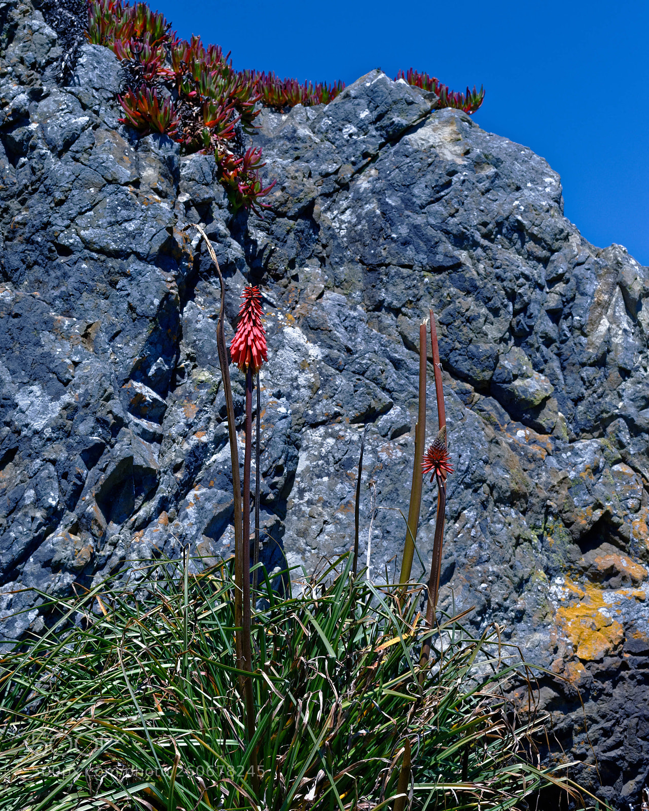 Canon EOS-1D X sample photo. North coast 23 photography