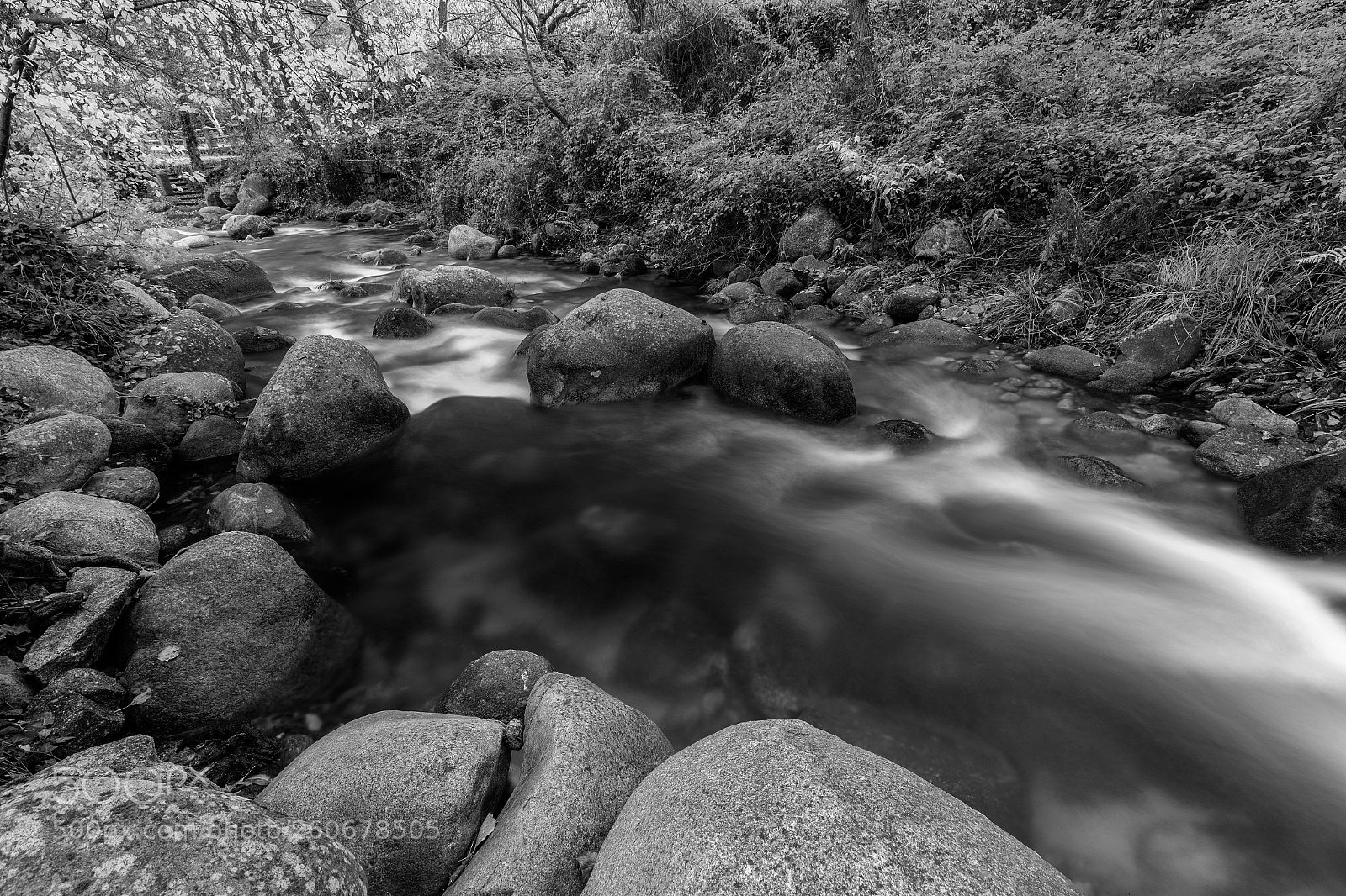 Canon EOS 6D sample photo. Garganta san gregorio  031216-9821 photography