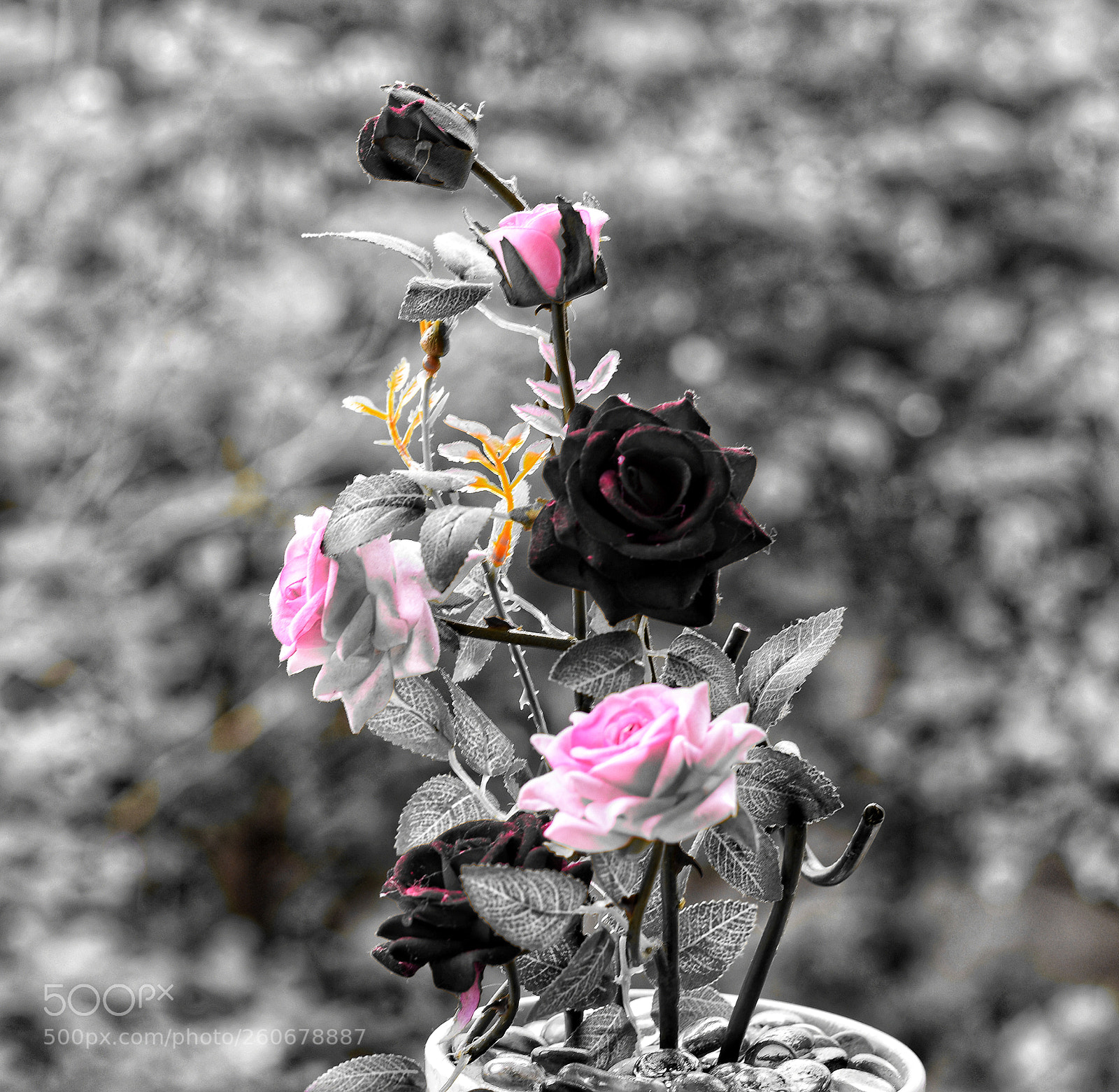 Nikon D3400 sample photo. Untitled photography