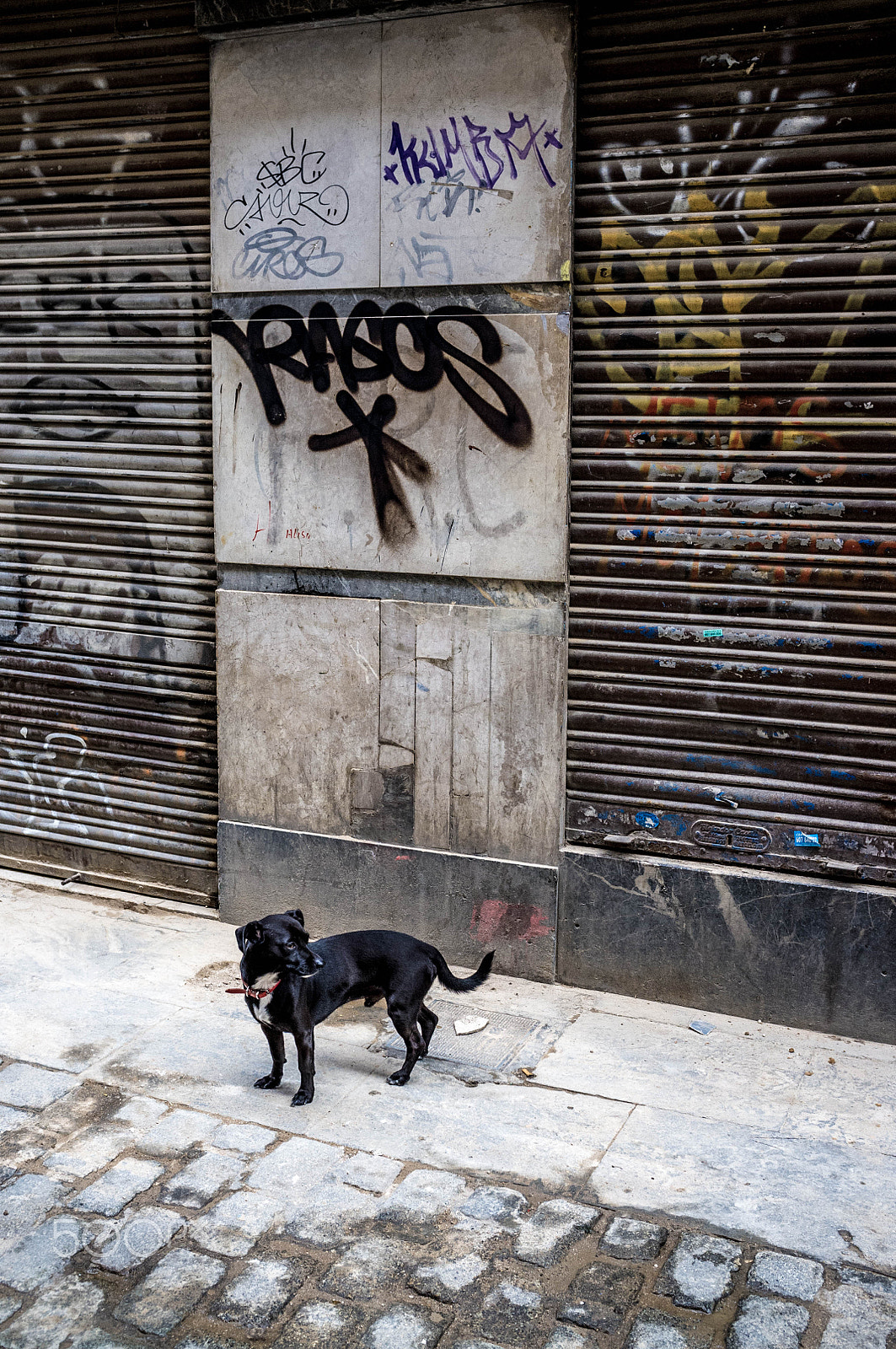 Fujifilm FinePix X100 sample photo. Back street bowser photography