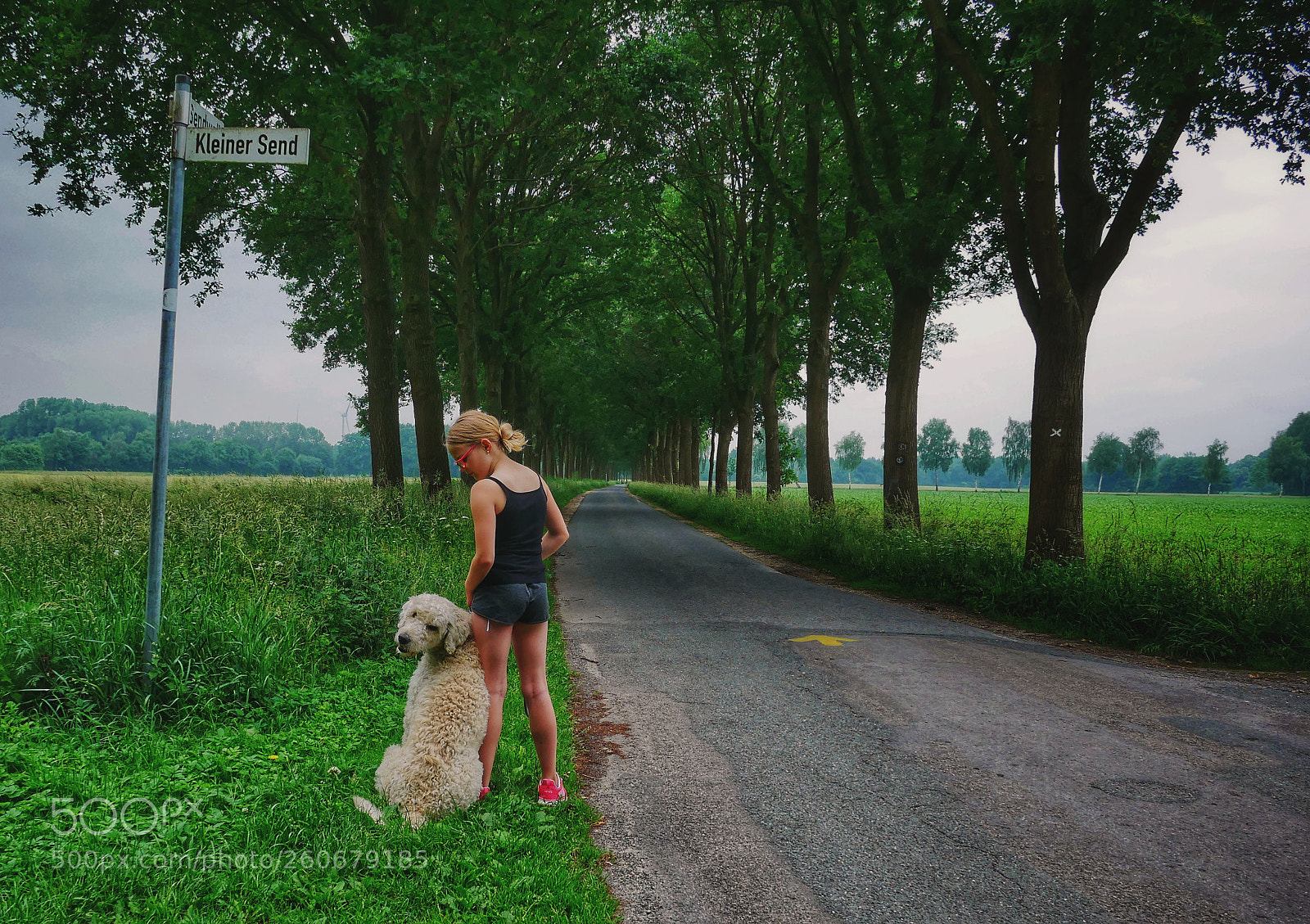 Panasonic Lumix DMC-GX85 (Lumix DMC-GX80 / Lumix DMC-GX7 Mark II) sample photo. The girl at the photography