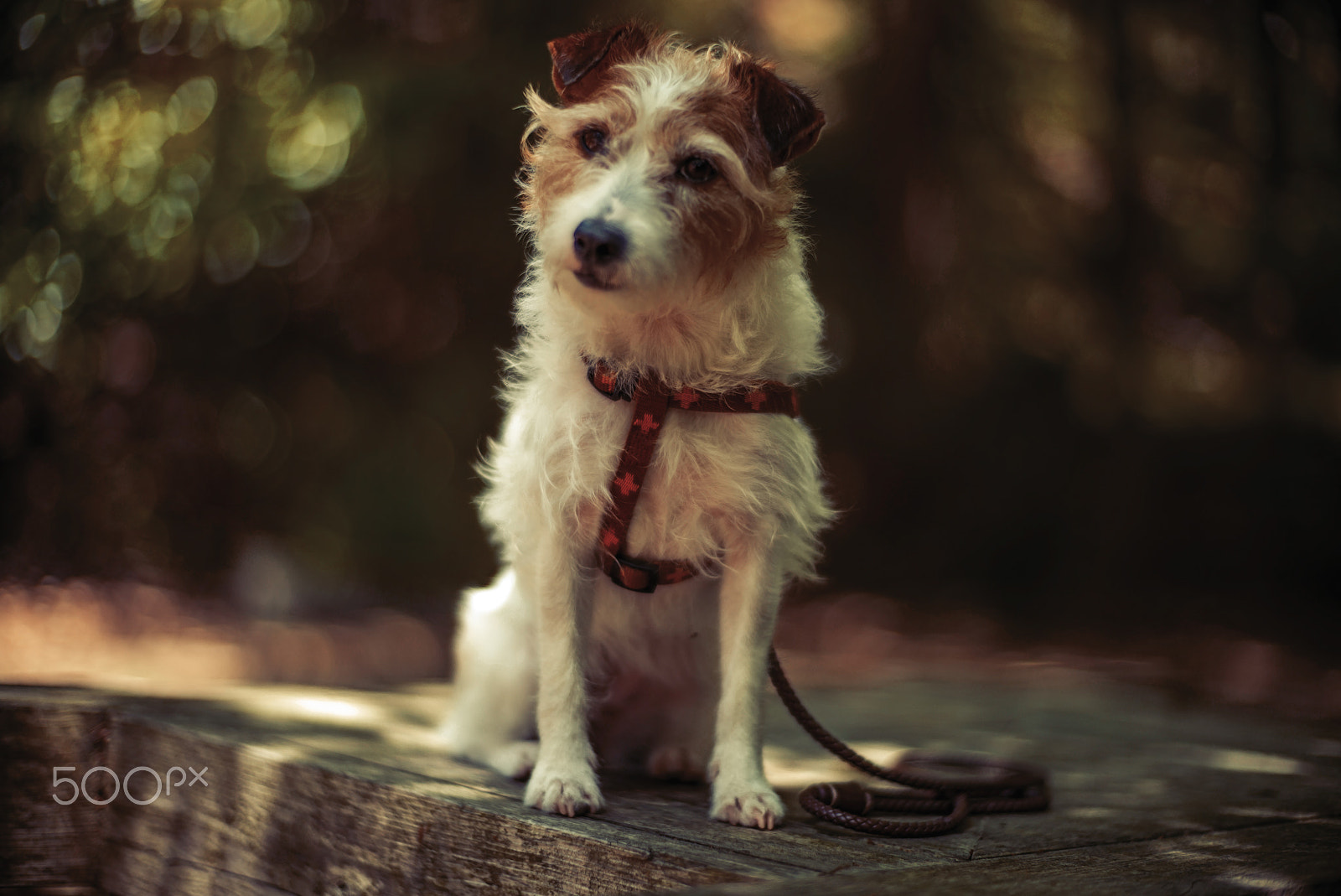 Leica M (Typ 240) sample photo. Same place,same pose photography