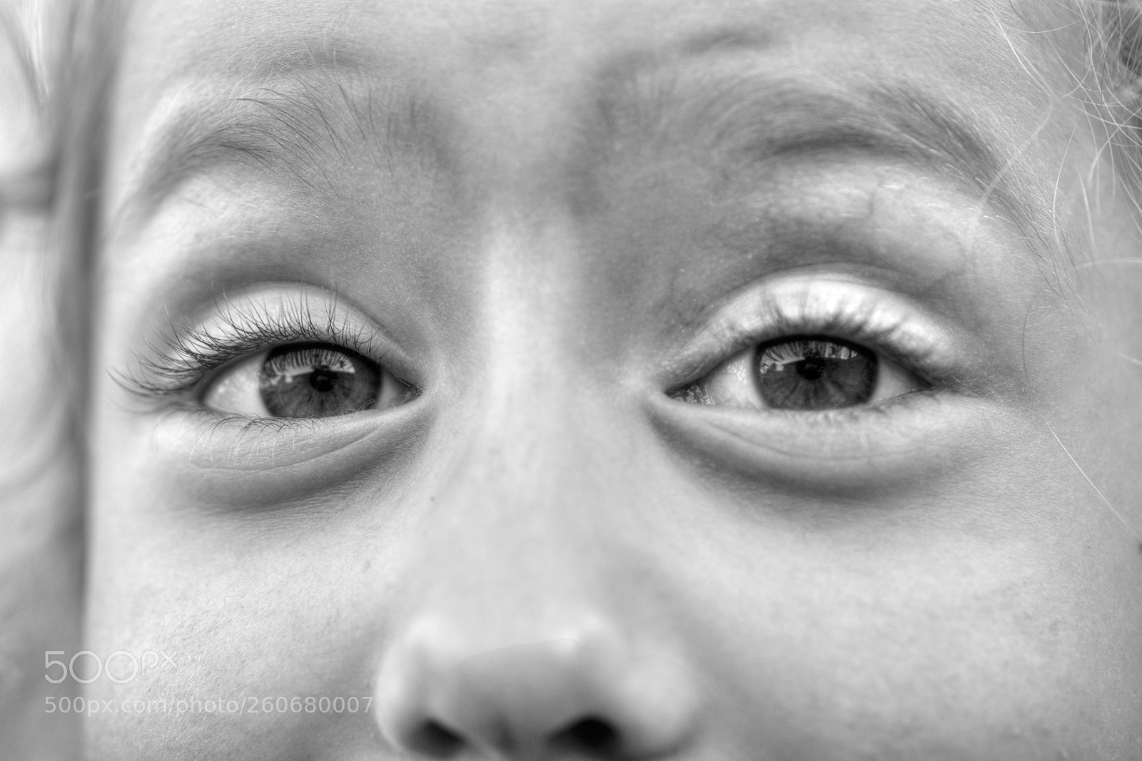 Sony Alpha DSLR-A350 sample photo. Untitled photography