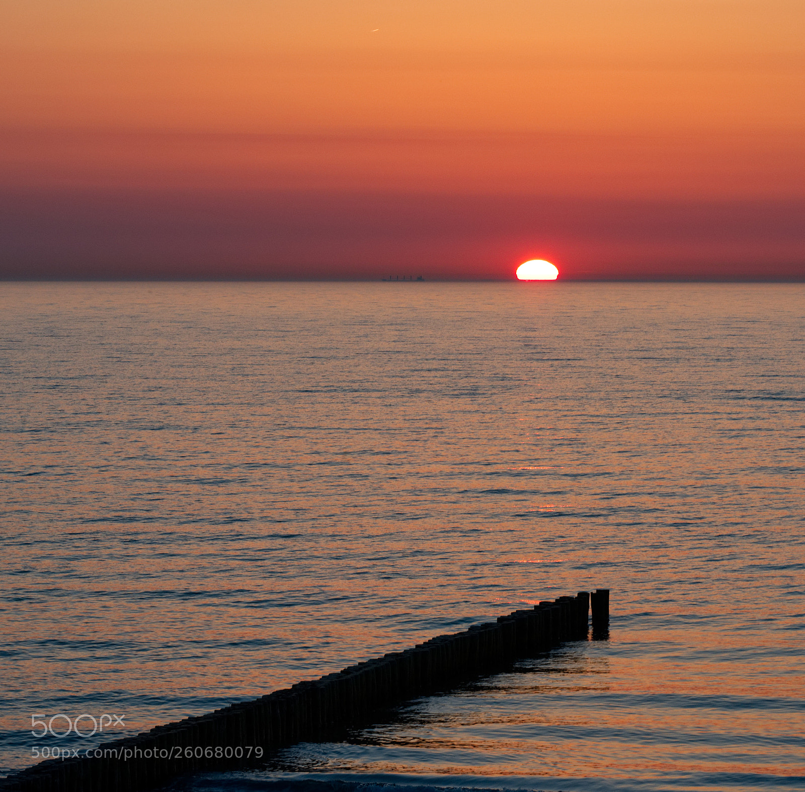 Nikon D610 sample photo. Ahrenshoop sunset photography