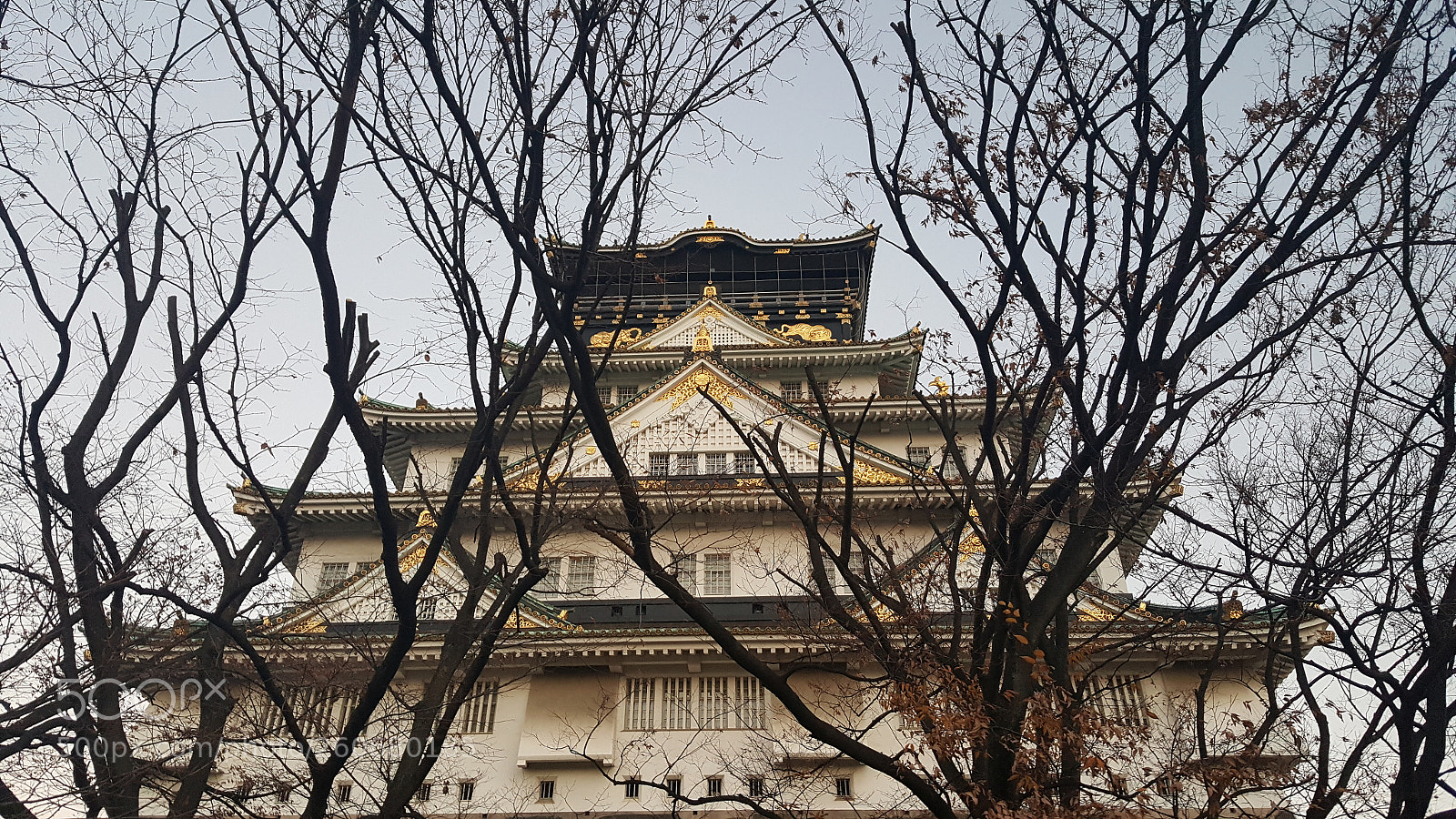 Samsung GALAXY S6 edge sample photo. 20161215_115337.jpg photography
