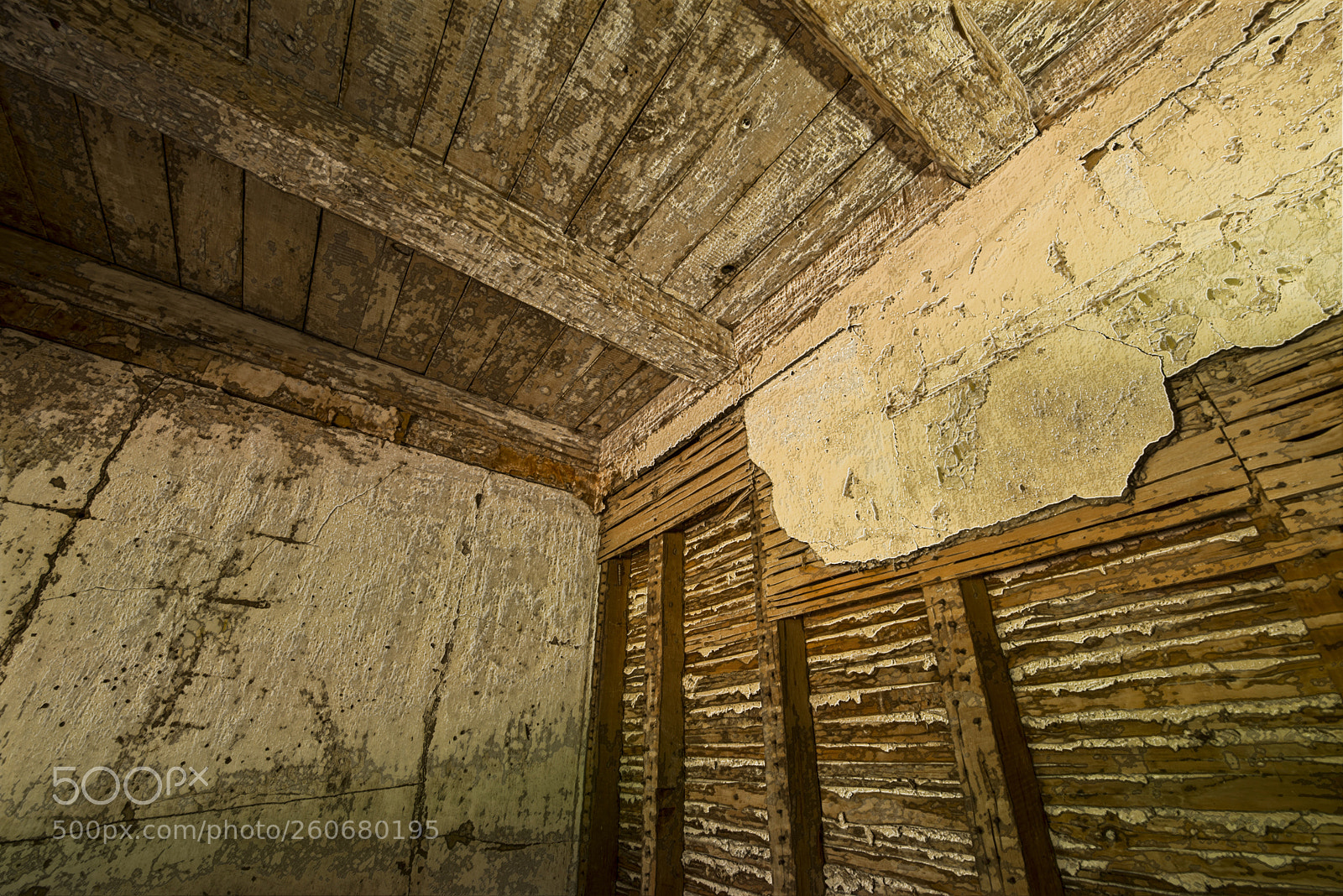 Nikon D600 sample photo. Back corner photography