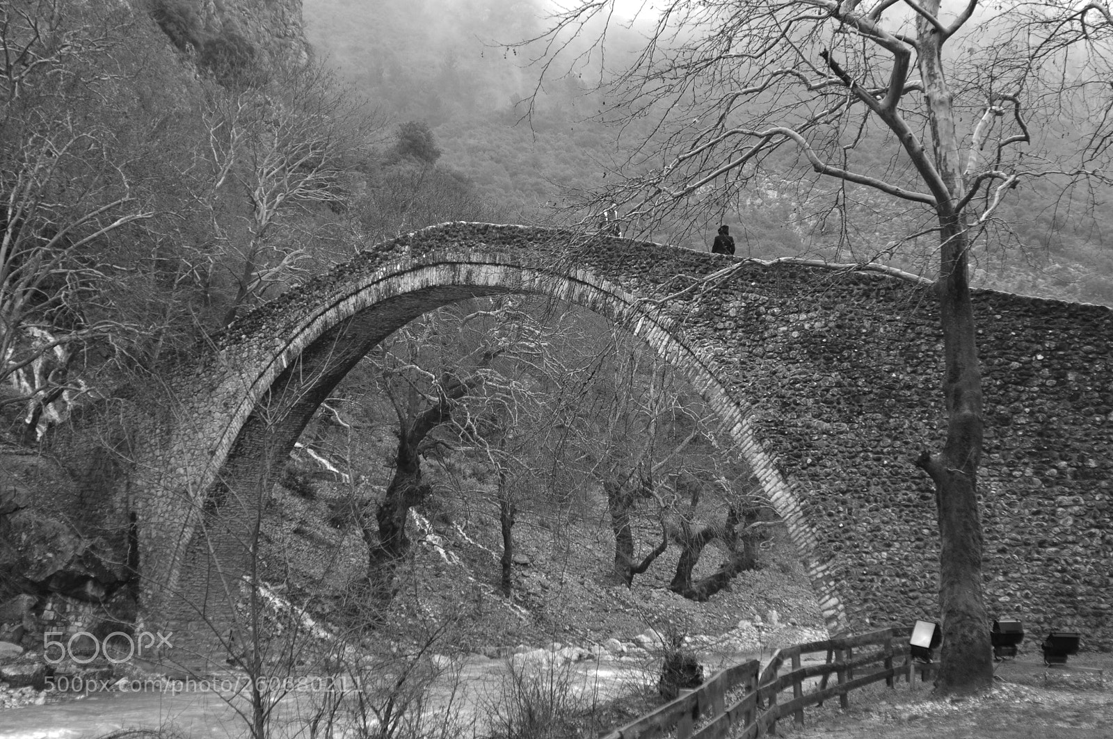 Nikon D300S sample photo. Old bridge photography