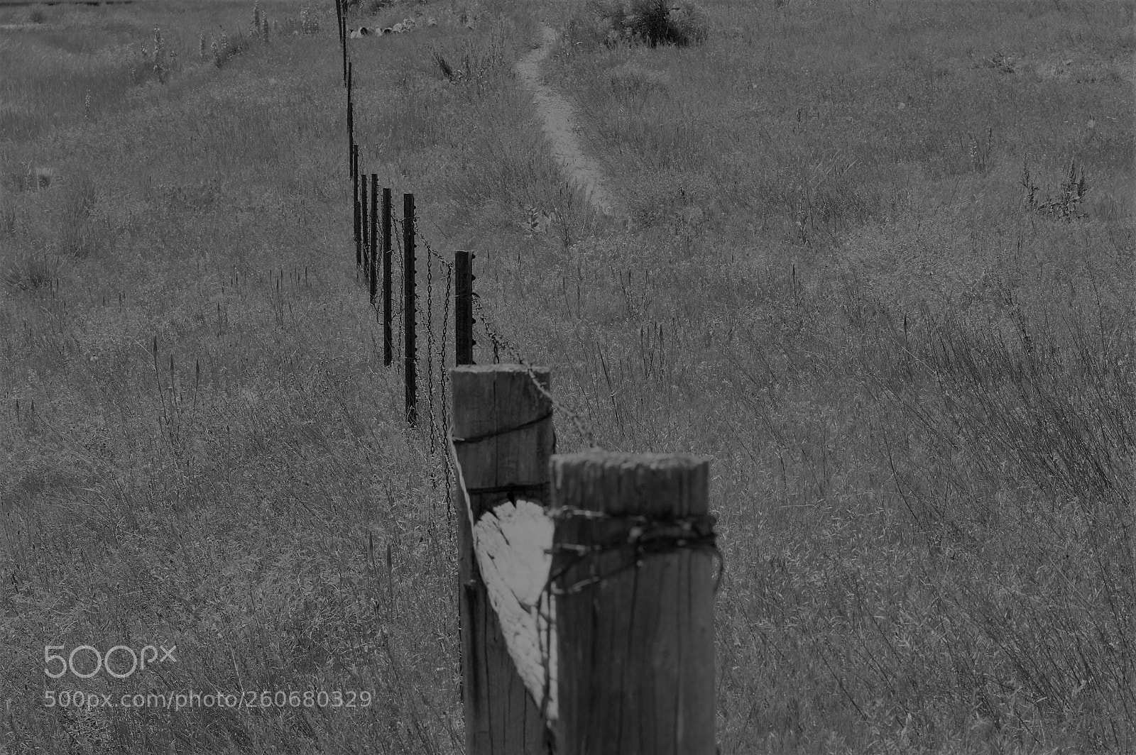 Nikon D3200 sample photo. Trailhead boundry photography