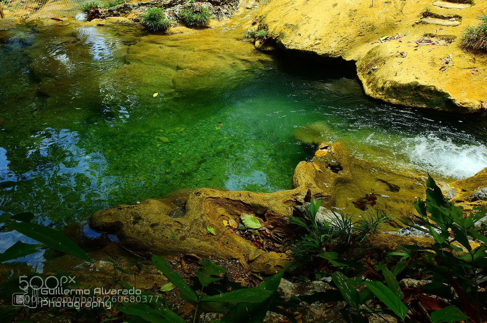 Nikon Coolpix P900 sample photo. Clear water photography