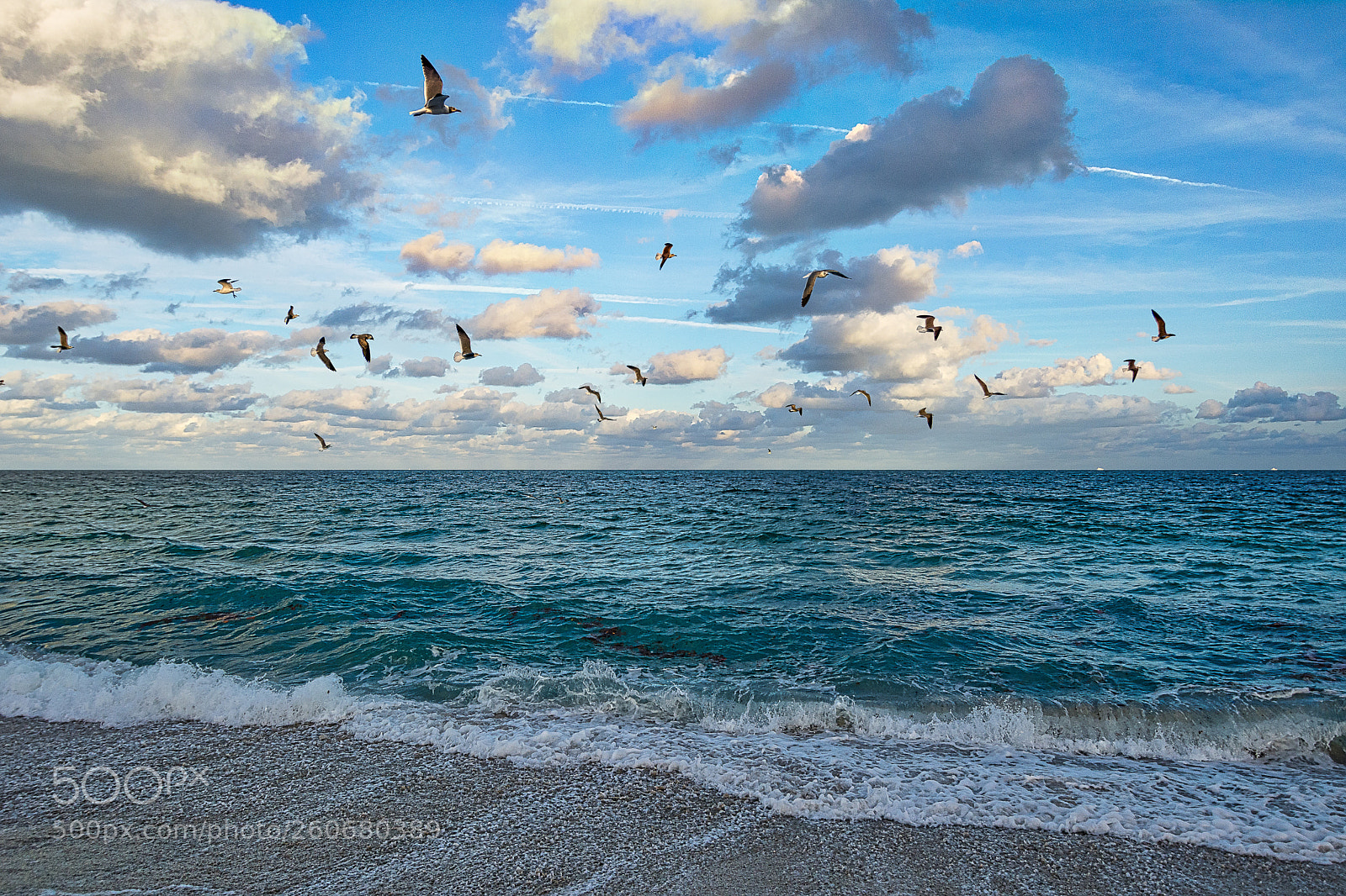 Nikon D7100 sample photo. The afternoon flight photography