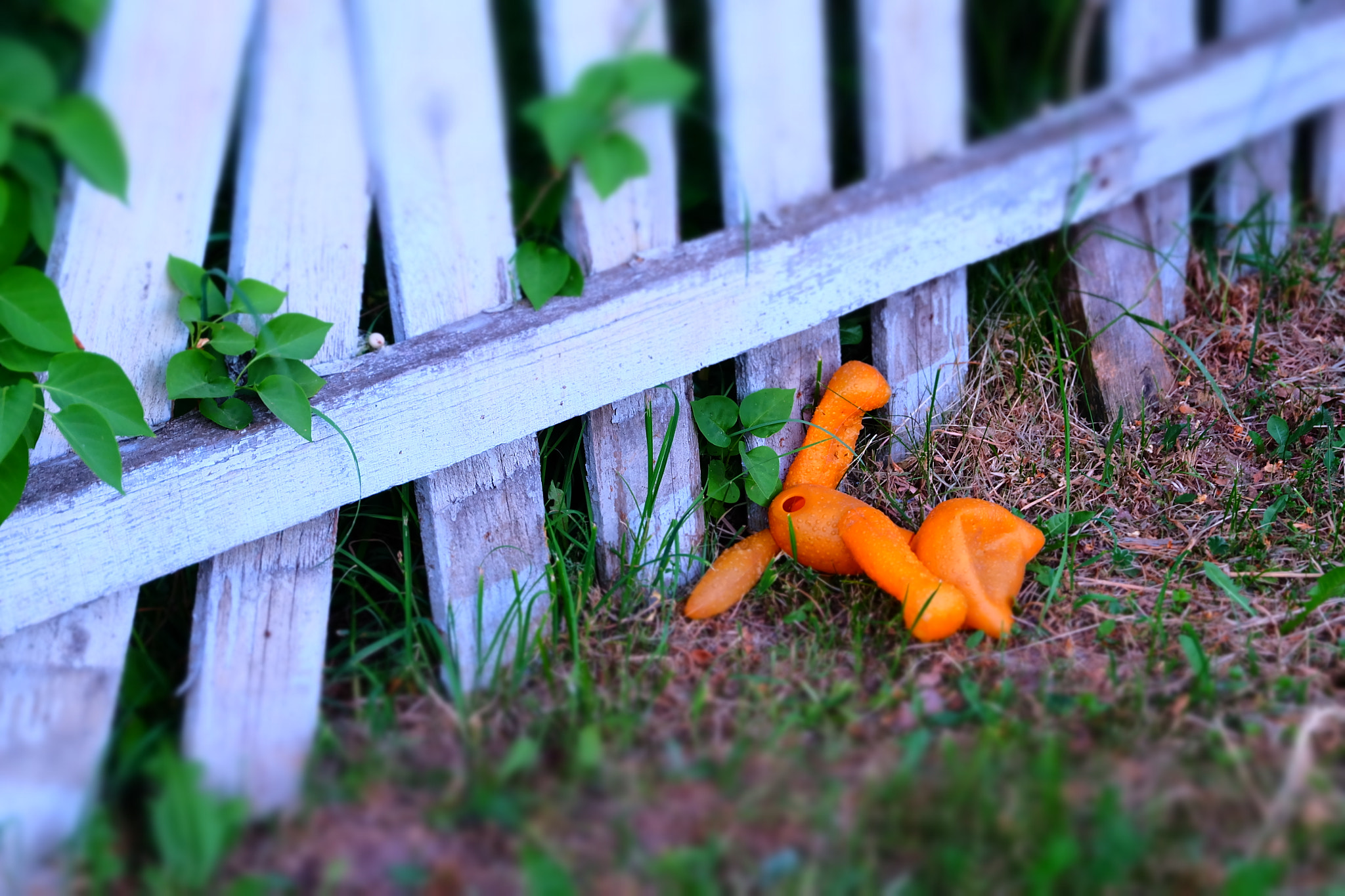 Fujifilm X-A1 sample photo. Sad end of toy story photography