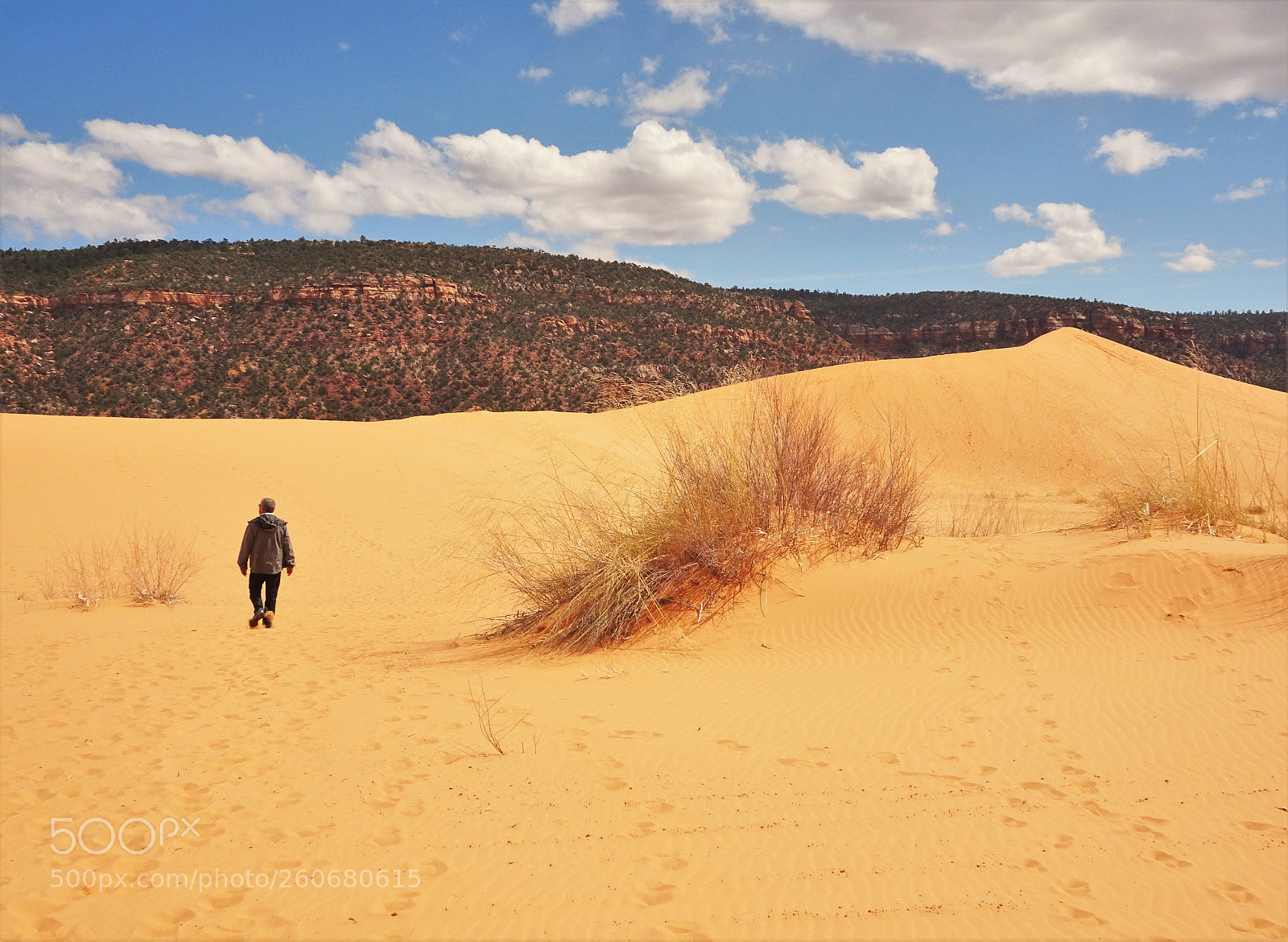 Sony Cyber-shot DSC-HX90V sample photo. Coral pink sand dunes photography