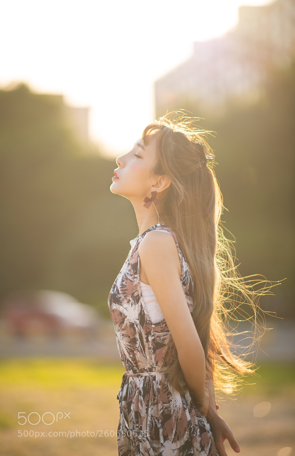 Nikon D850 sample photo. Back light photography