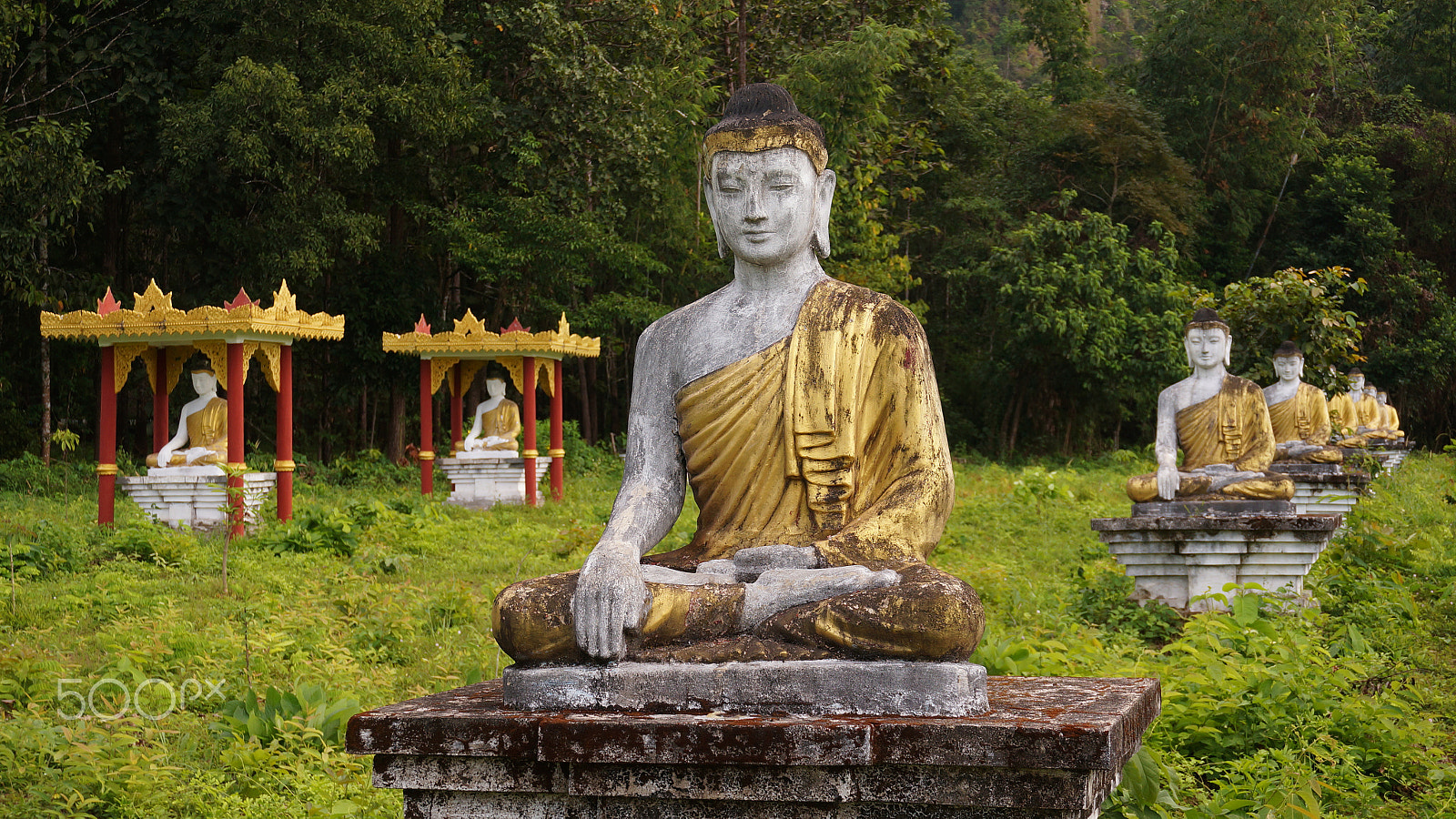 Sony Alpha NEX-6 sample photo. Lumbini garden photography