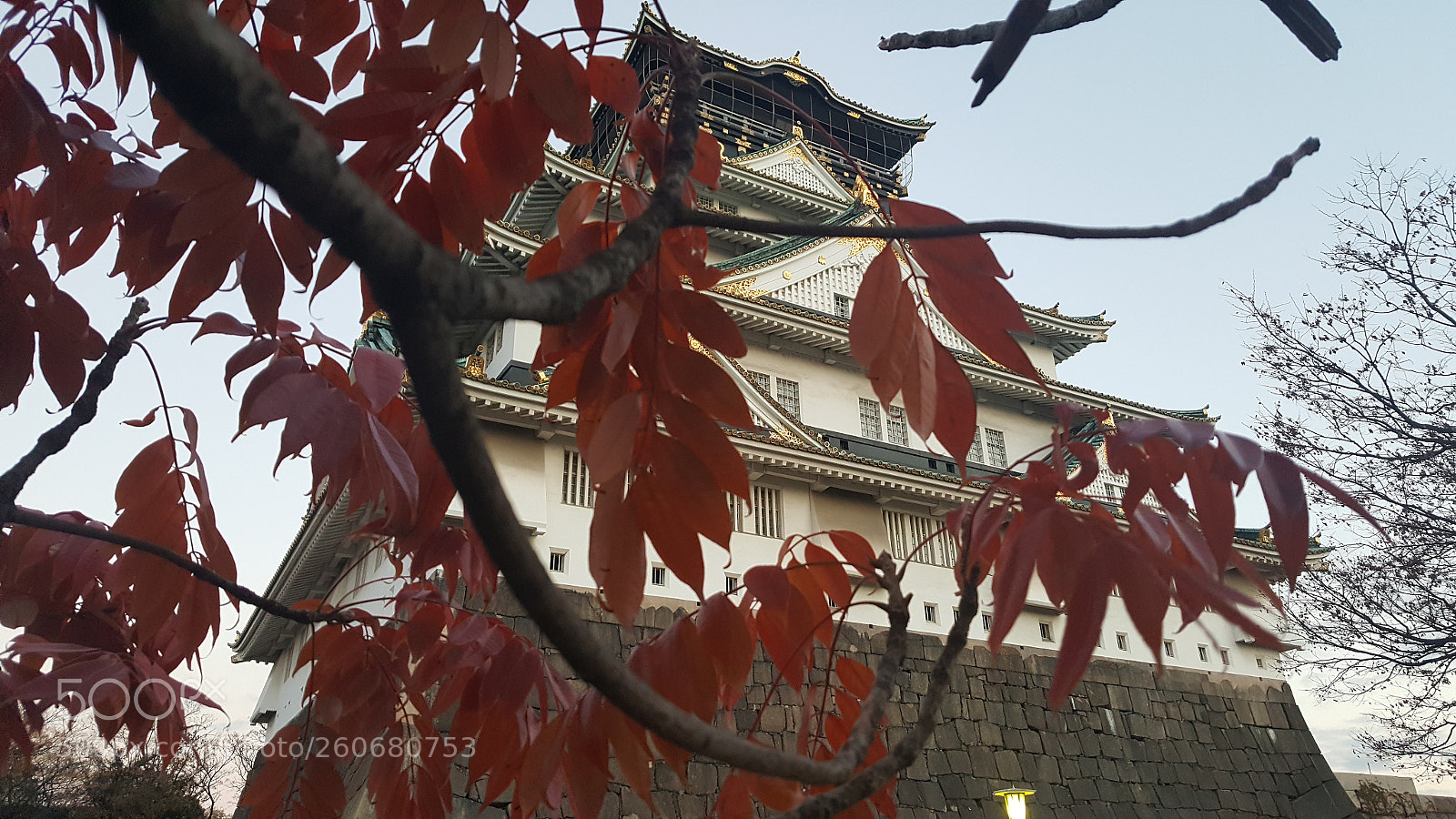Samsung GALAXY S6 edge sample photo. 20161215_115531.jpg photography