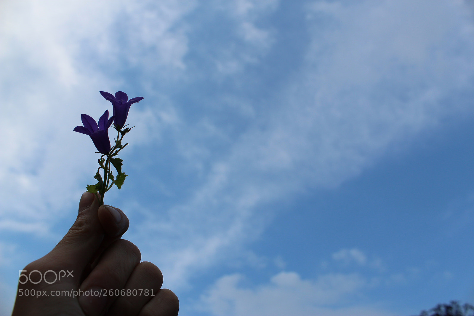 Canon EOS 1300D (EOS Rebel T6 / EOS Kiss X80) sample photo. Img photography