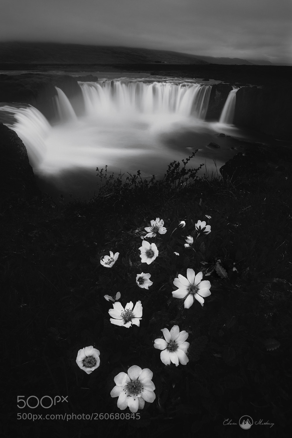 Canon EOS 5D Mark IV sample photo. Summer in monochrome photography