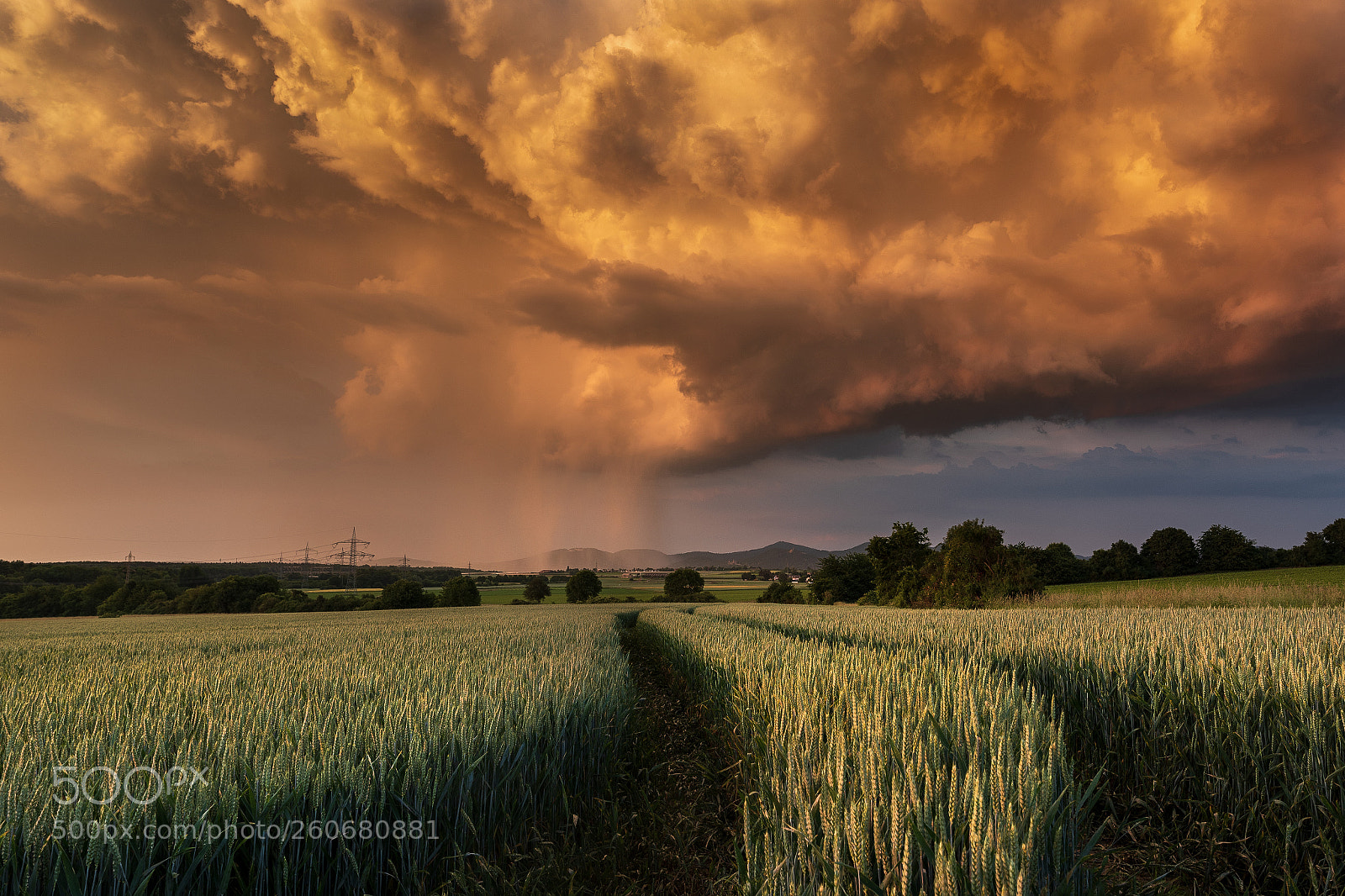 Nikon D750 sample photo. A storm is coming photography