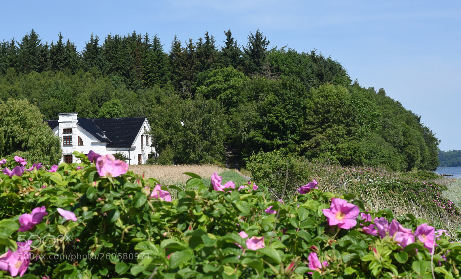 Nikon D7200 sample photo. Maison by vejle fjord photography