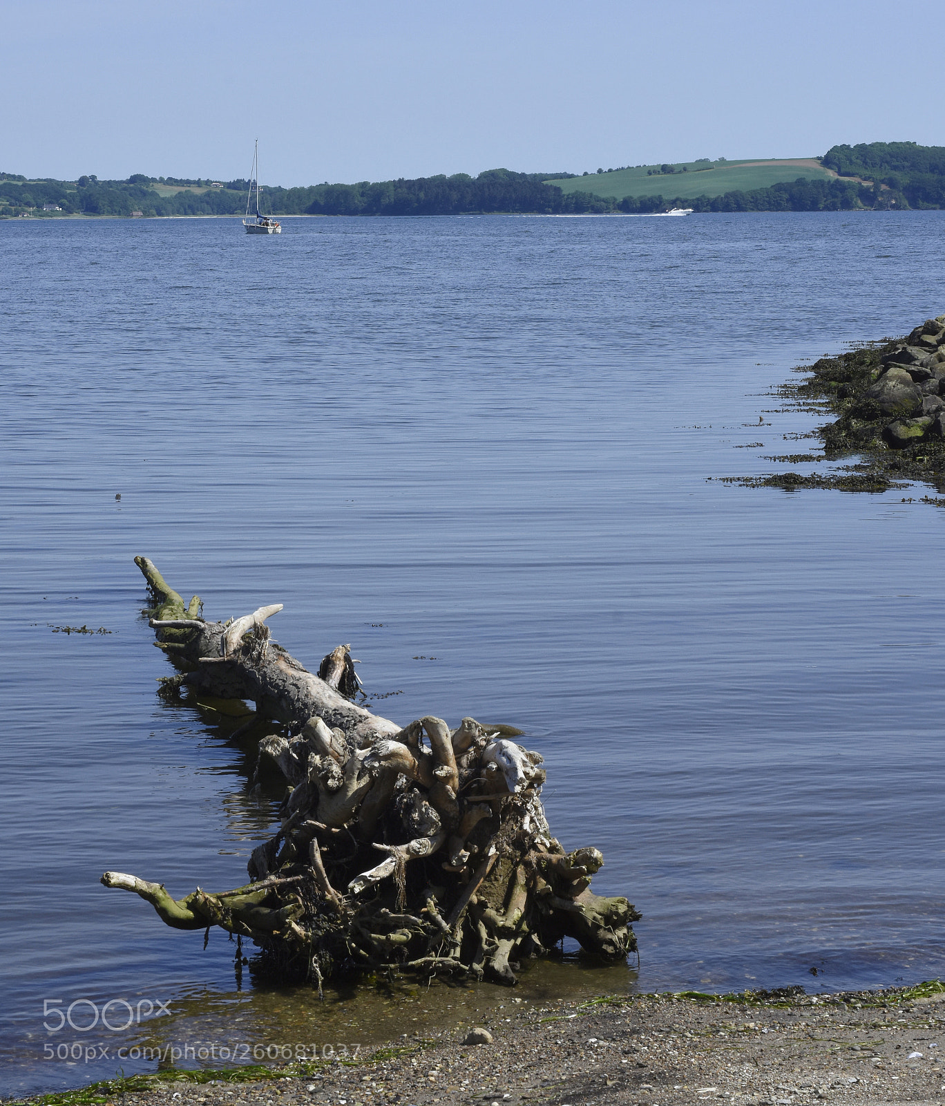 Nikon D7200 sample photo. Vejle fjord by brejning photography
