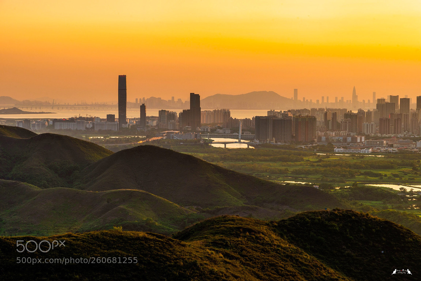 Nikon D800E sample photo. Golden hour photography