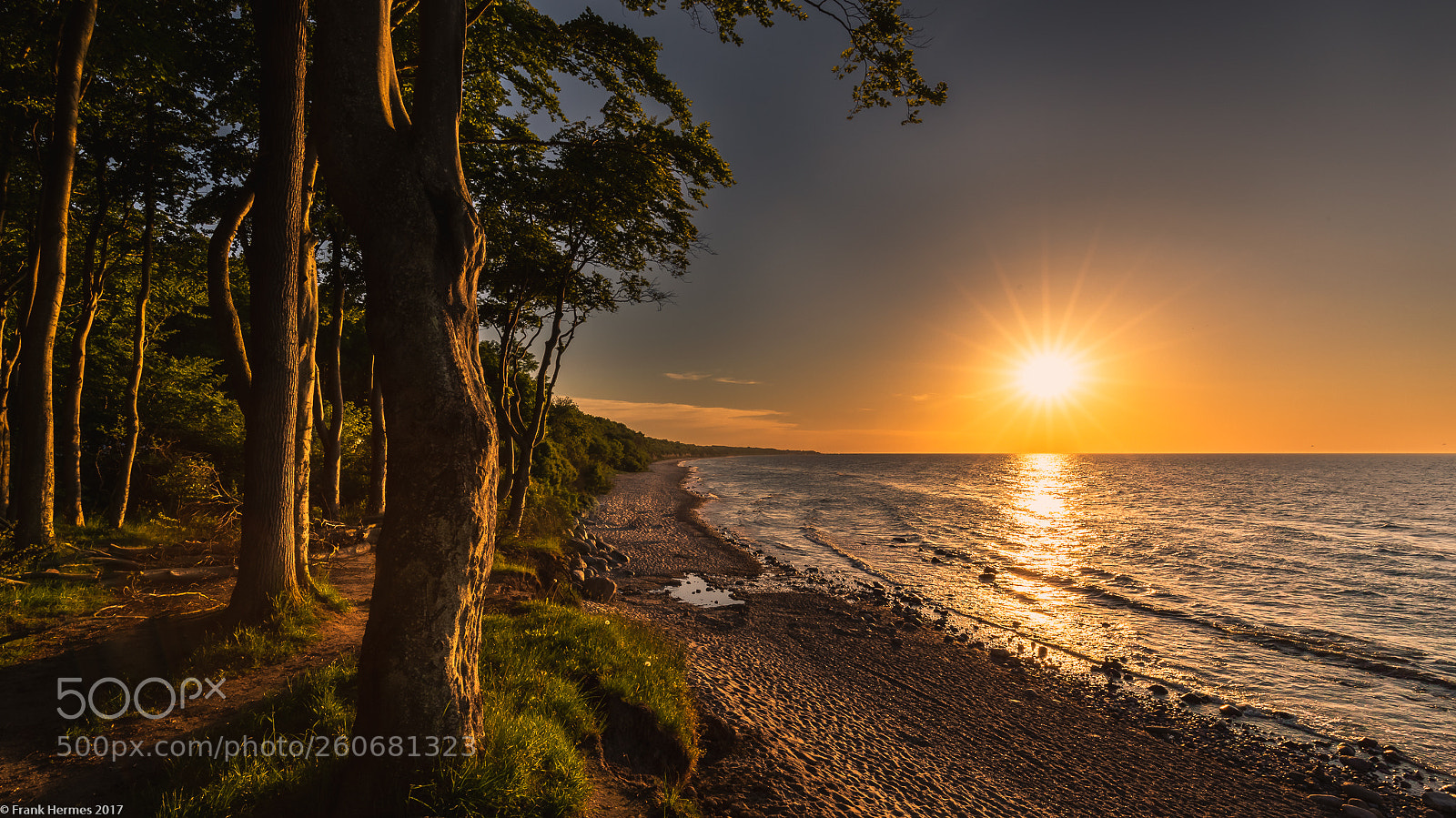 Canon EOS 5D Mark IV sample photo. Golden hour at the photography
