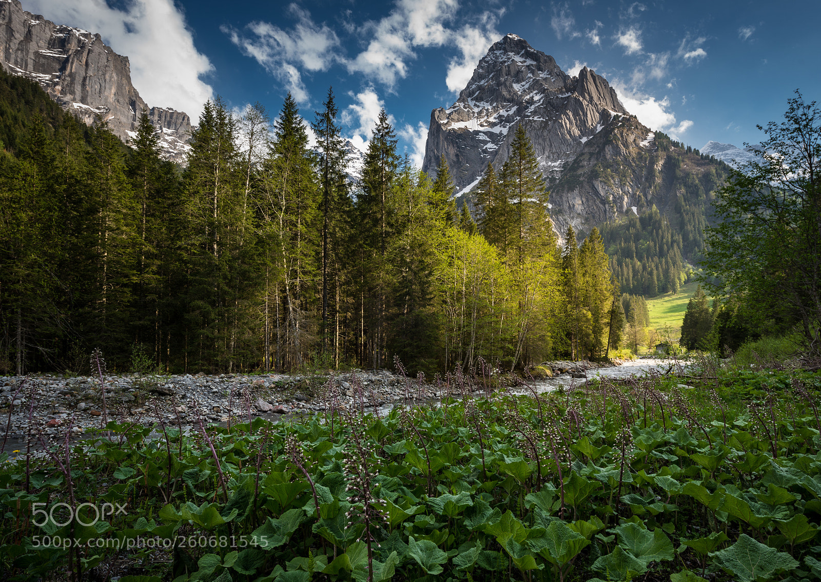 Nikon D600 sample photo. Wellhorn peak photography