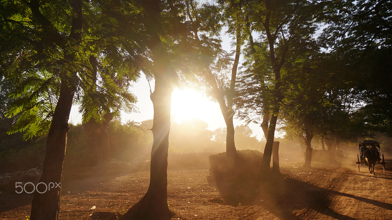 Sony Alpha NEX-6 sample photo. Inwa photography