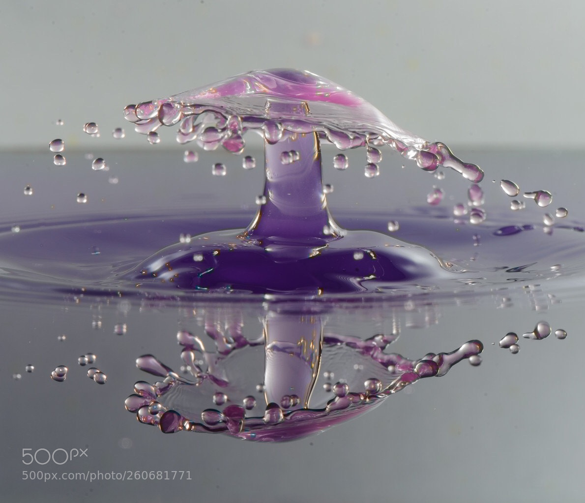 Nikon D800 sample photo. Untitled photography