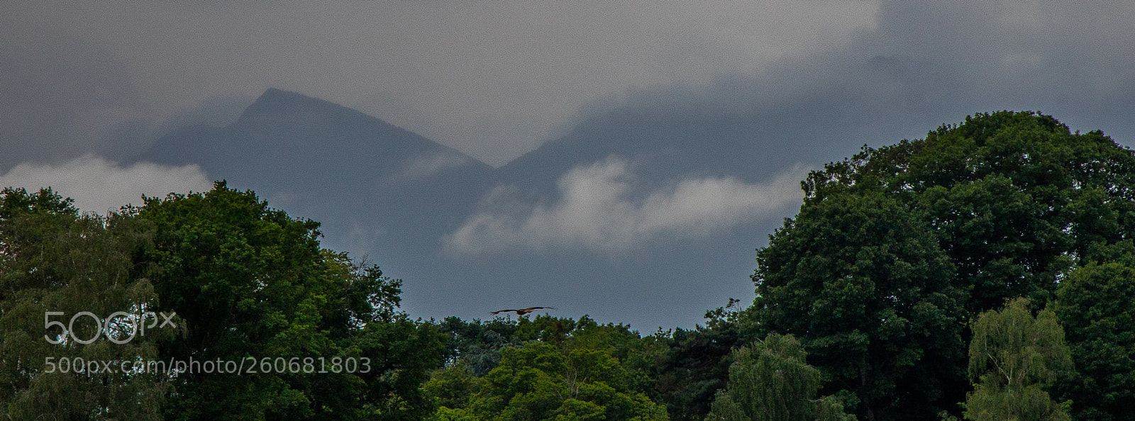 Canon EOS 760D (EOS Rebel T6s / EOS 8000D) sample photo. Au ras des cimes!!! photography