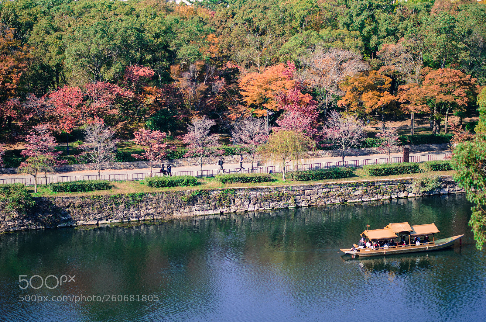 Nikon D5100 sample photo. Untitled photography