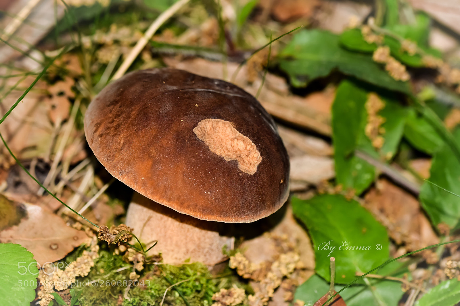 Nikon D3300 sample photo. Untitled photography