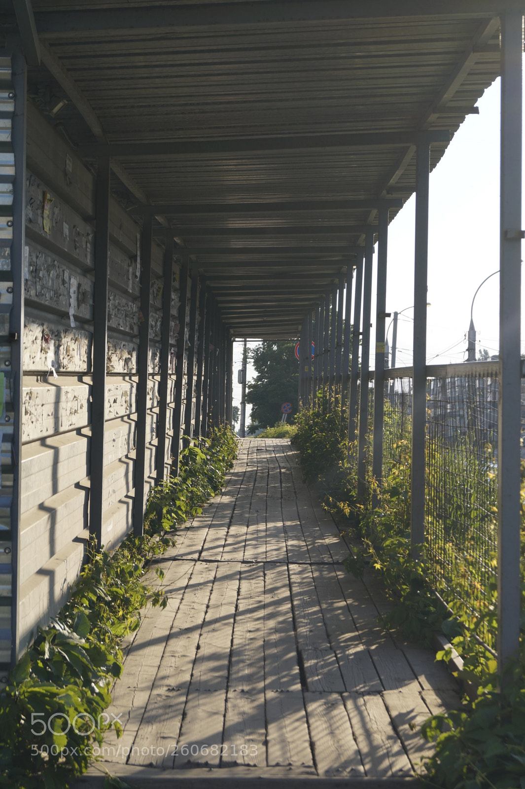 Sony SLT-A58 sample photo. Wooden way in building photography
