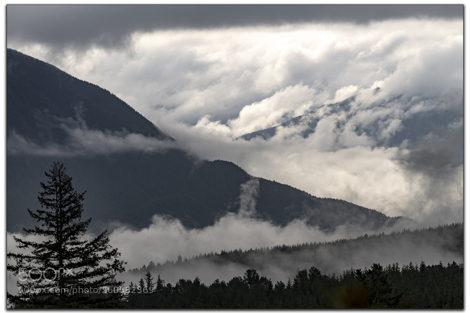 Nikon D850 sample photo. Layers photography