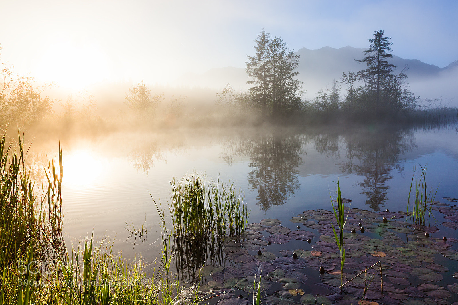 Canon EOS 5D Mark II sample photo. Morning moods photography
