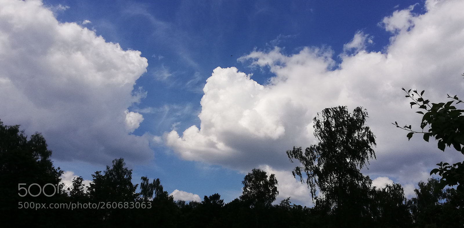 HUAWEI P20 lite sample photo. Dav photography