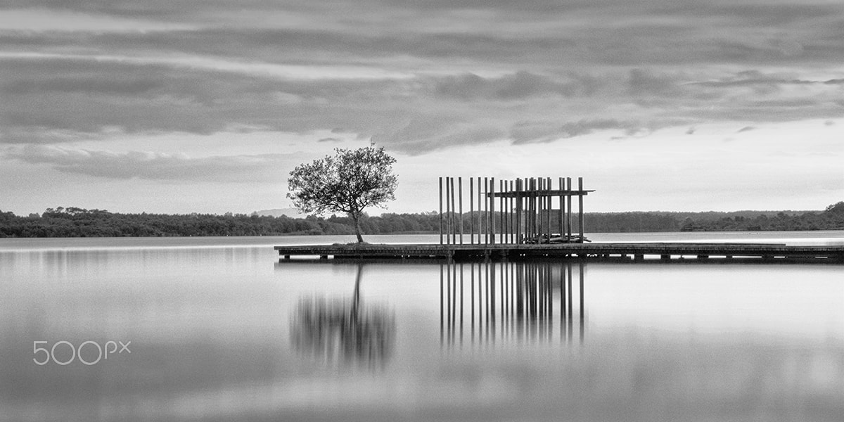 Nikon D2X sample photo. Jetty and tree photography