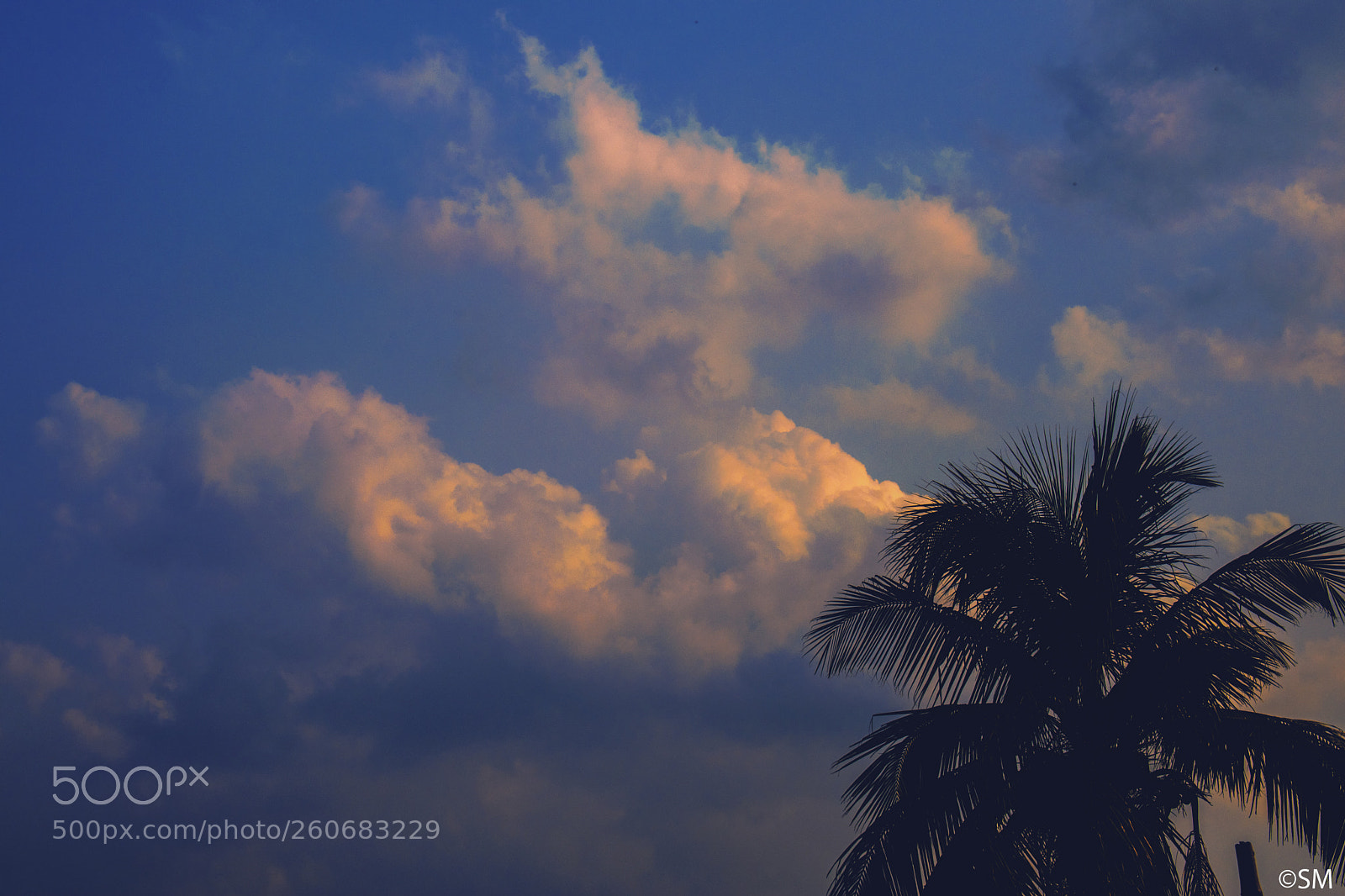 Nikon D3300 sample photo. Evening s k y photography