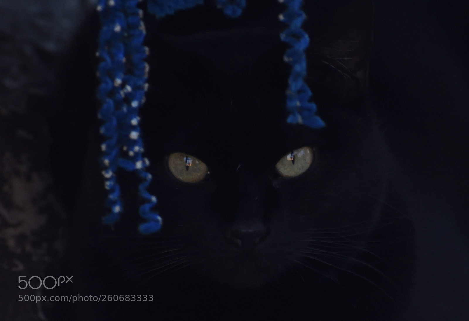Nikon D3400 sample photo. Ojos al acecho photography