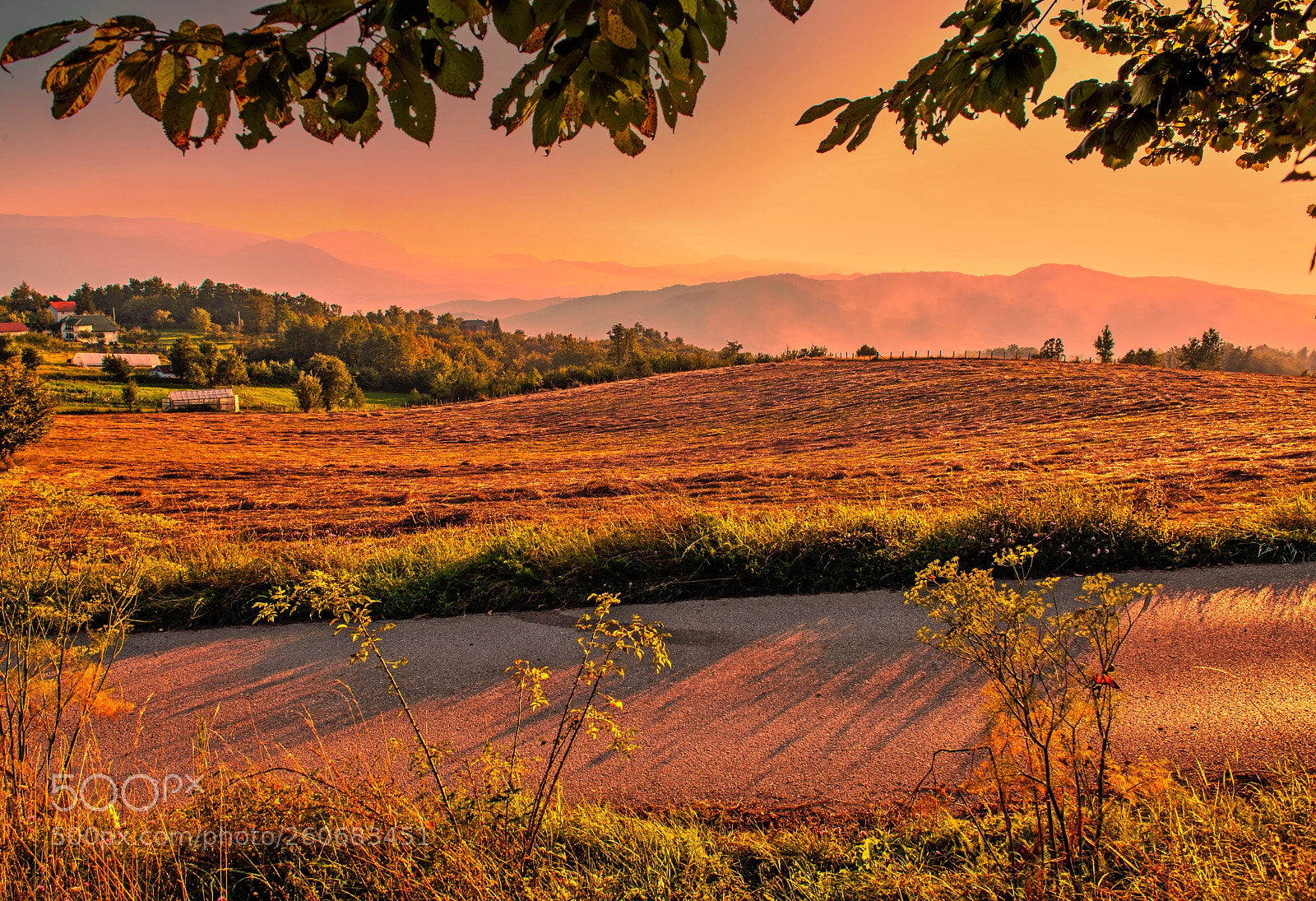 Nikon D610 sample photo. Village view photography