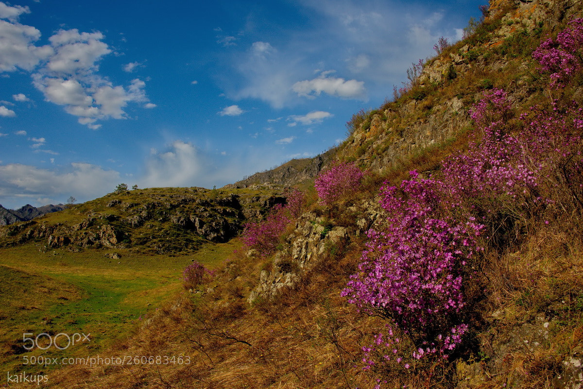 Nikon D750 sample photo. Russia. the south of photography