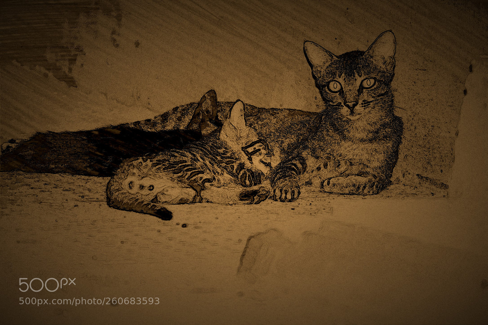 Nikon D5500 sample photo. Untitled photography
