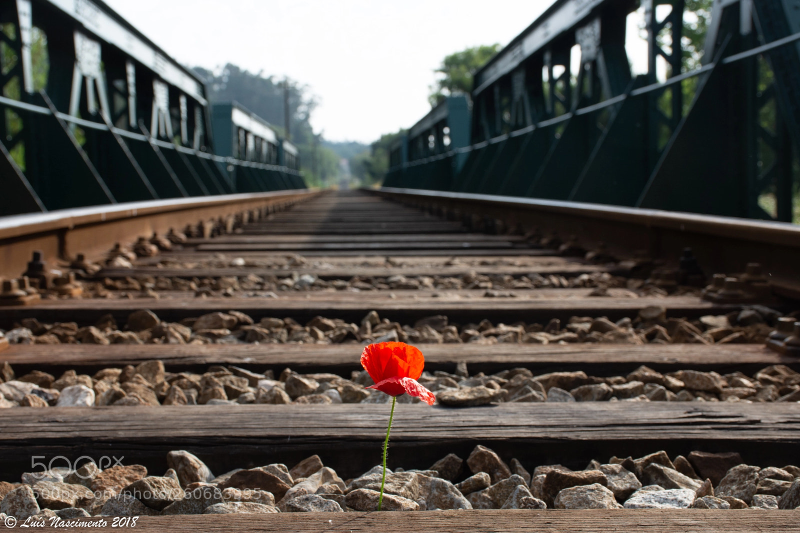Nikon D7200 sample photo. Train line photography