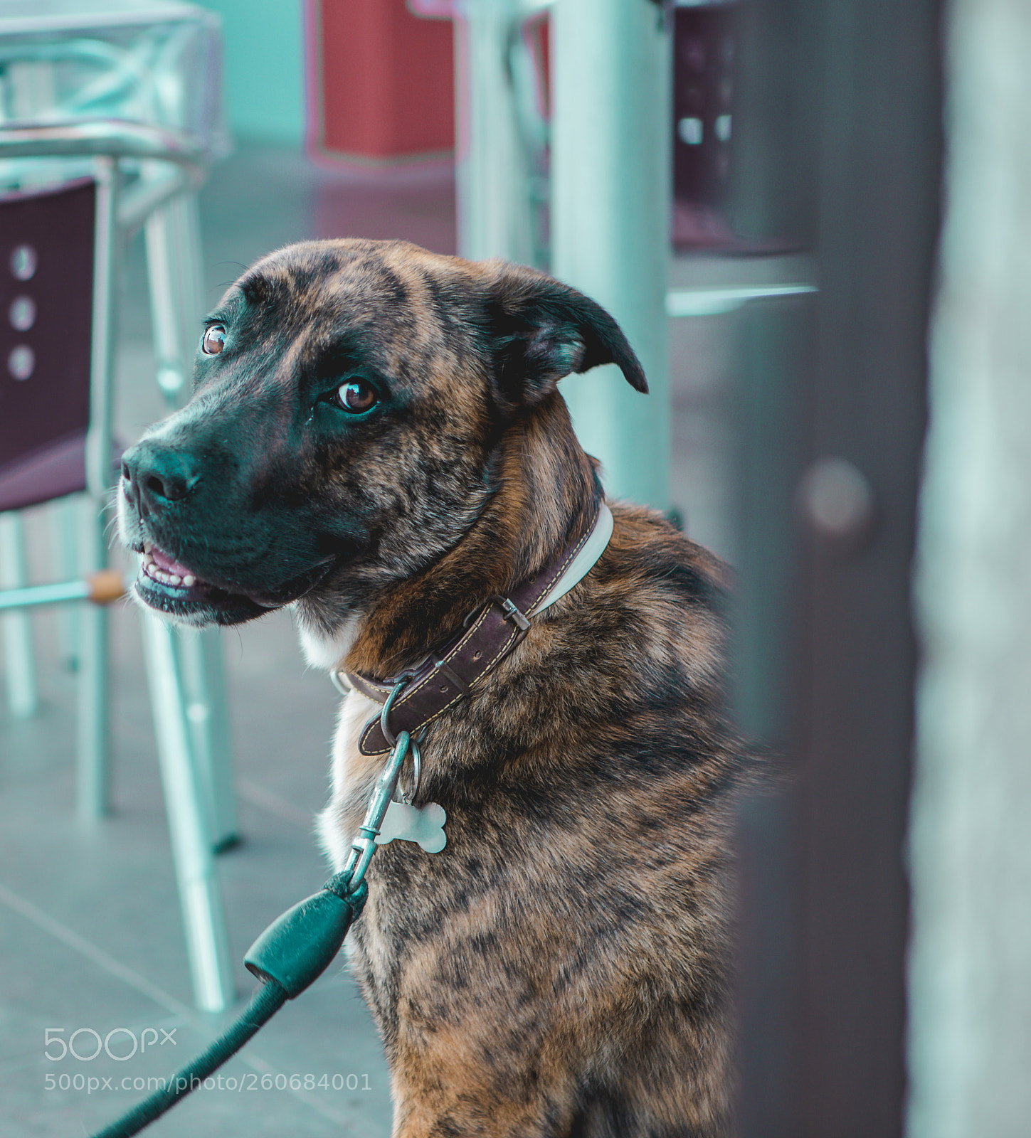 Canon EOS 6D Mark II sample photo. Tro photography