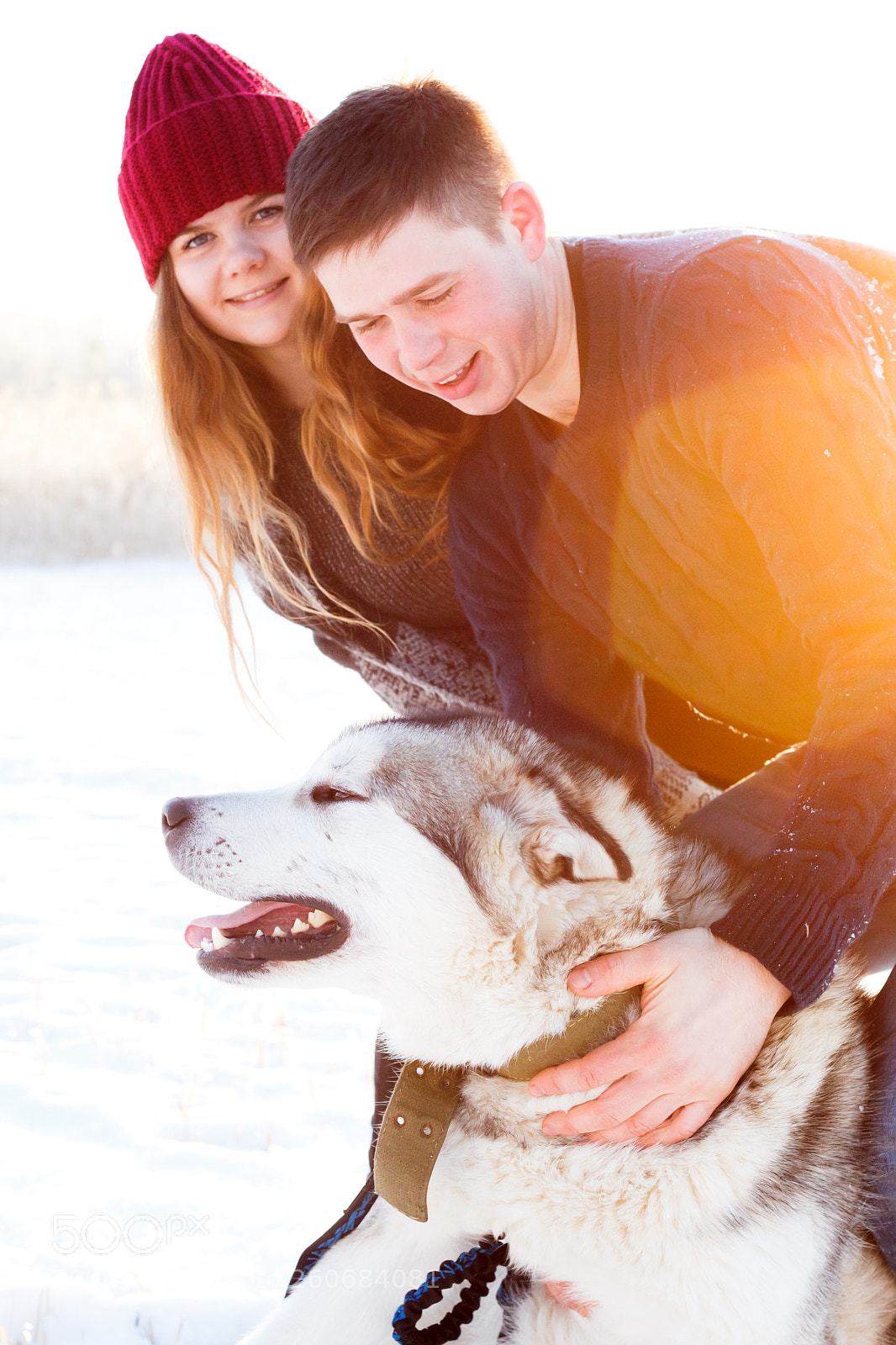 Canon EOS 6D sample photo. Doggy walking photography