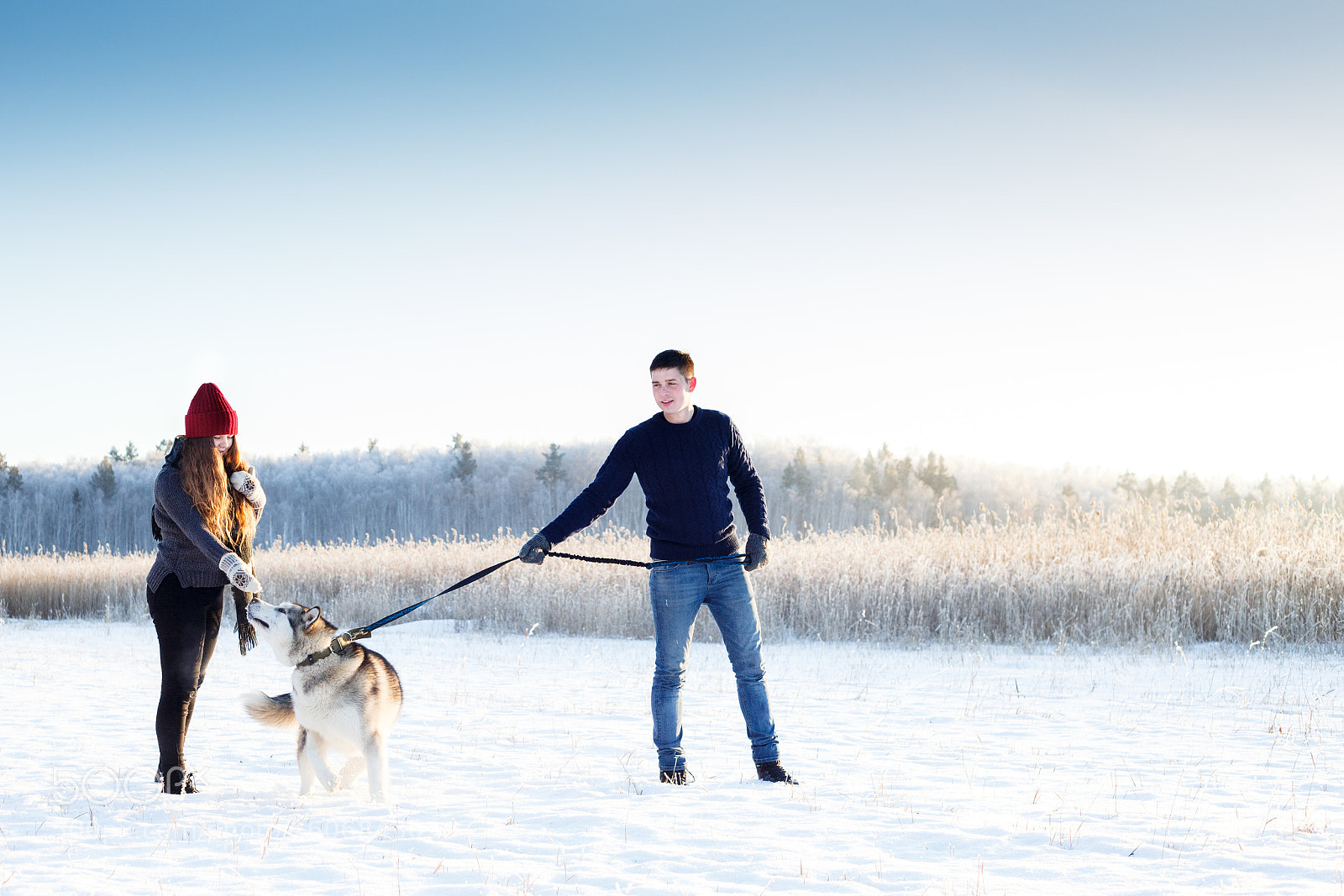 Canon EOS 6D sample photo. Doggy walking photography