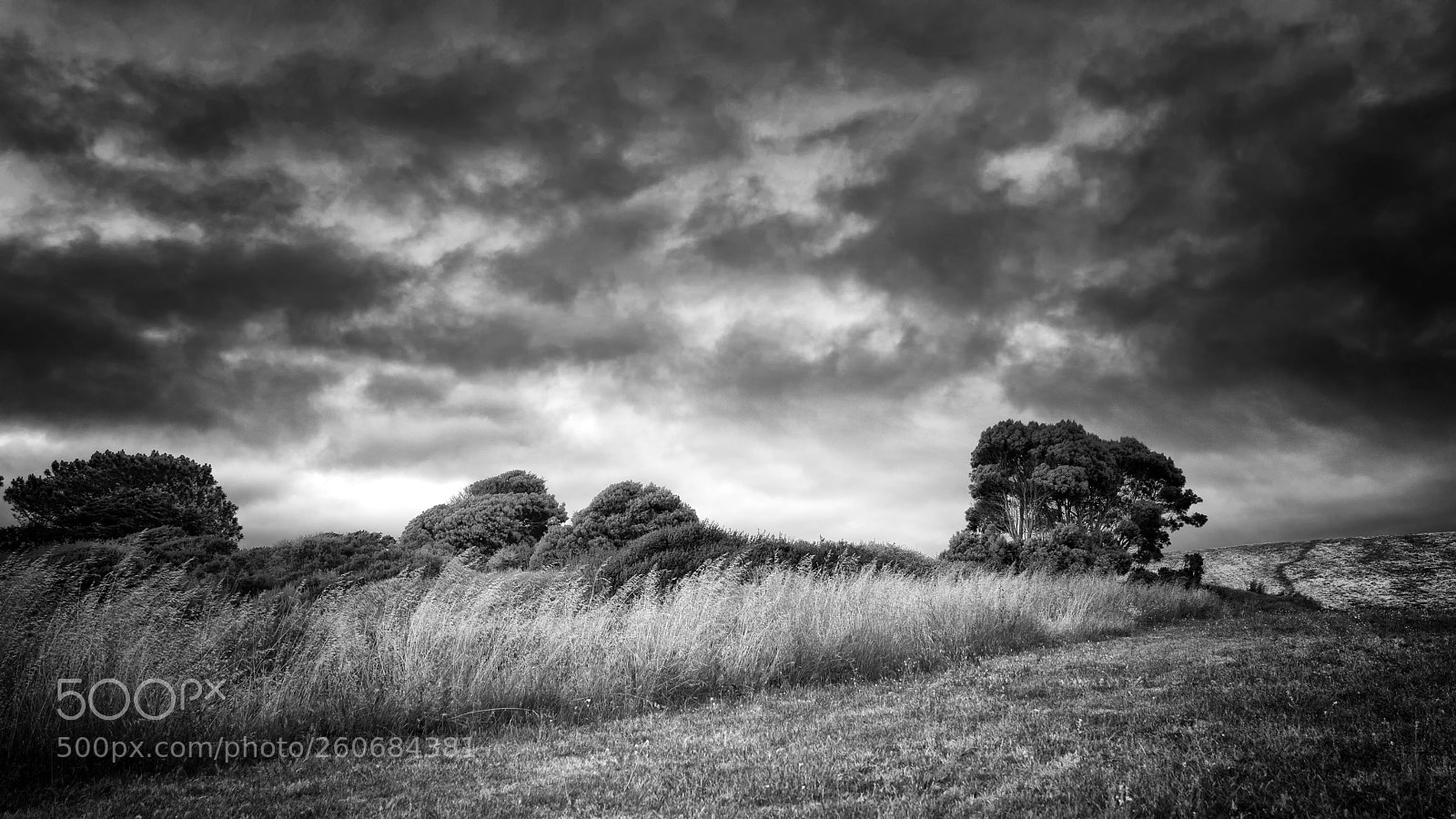 Sony a7R II sample photo. Layers & textures photography