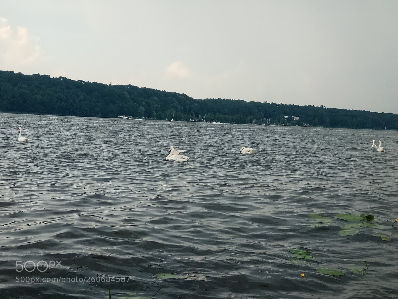 Xiaomi Redmi Note 4 sample photo. Untitled photography