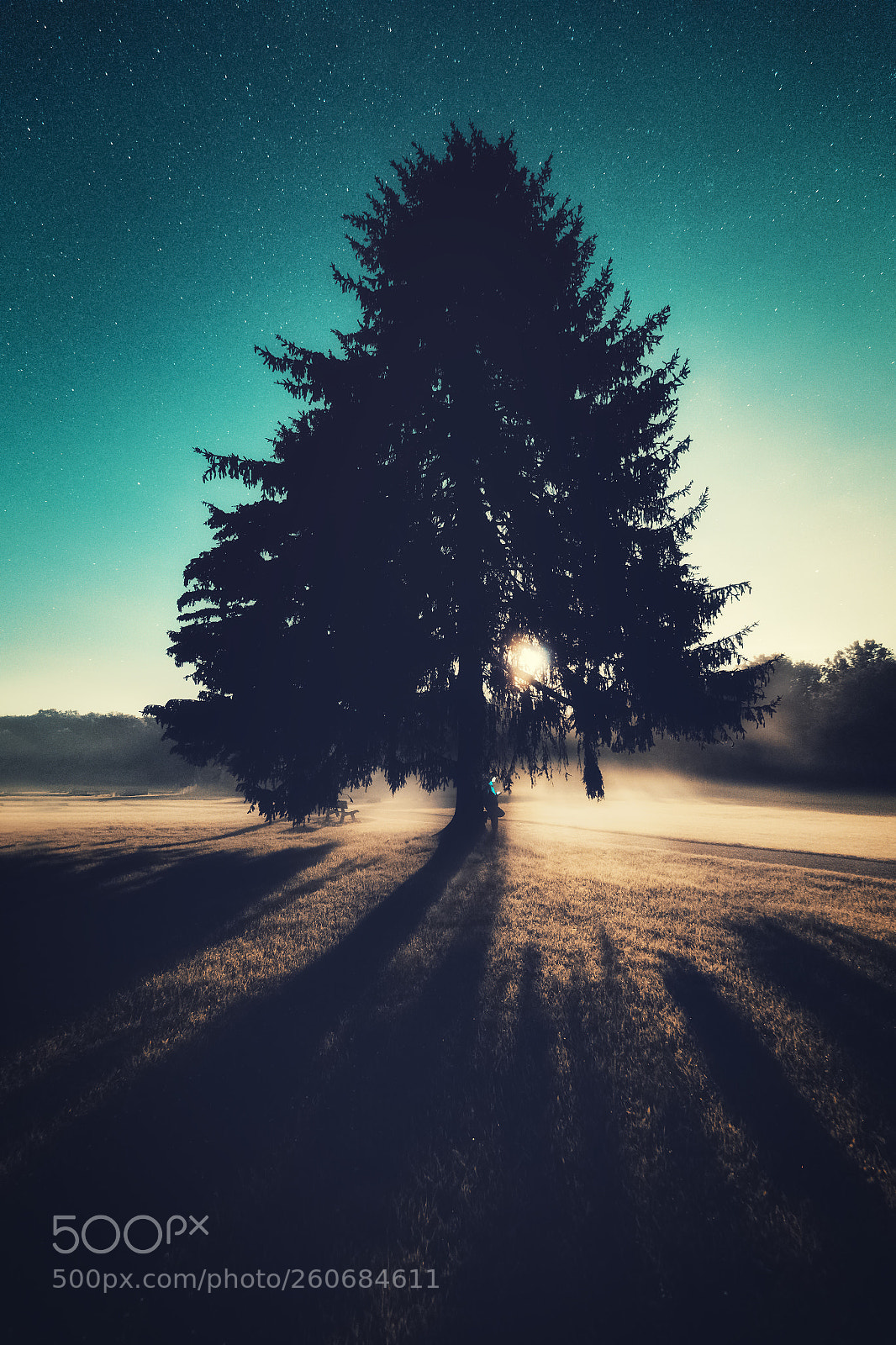 Canon EOS 6D sample photo. Moon light photography