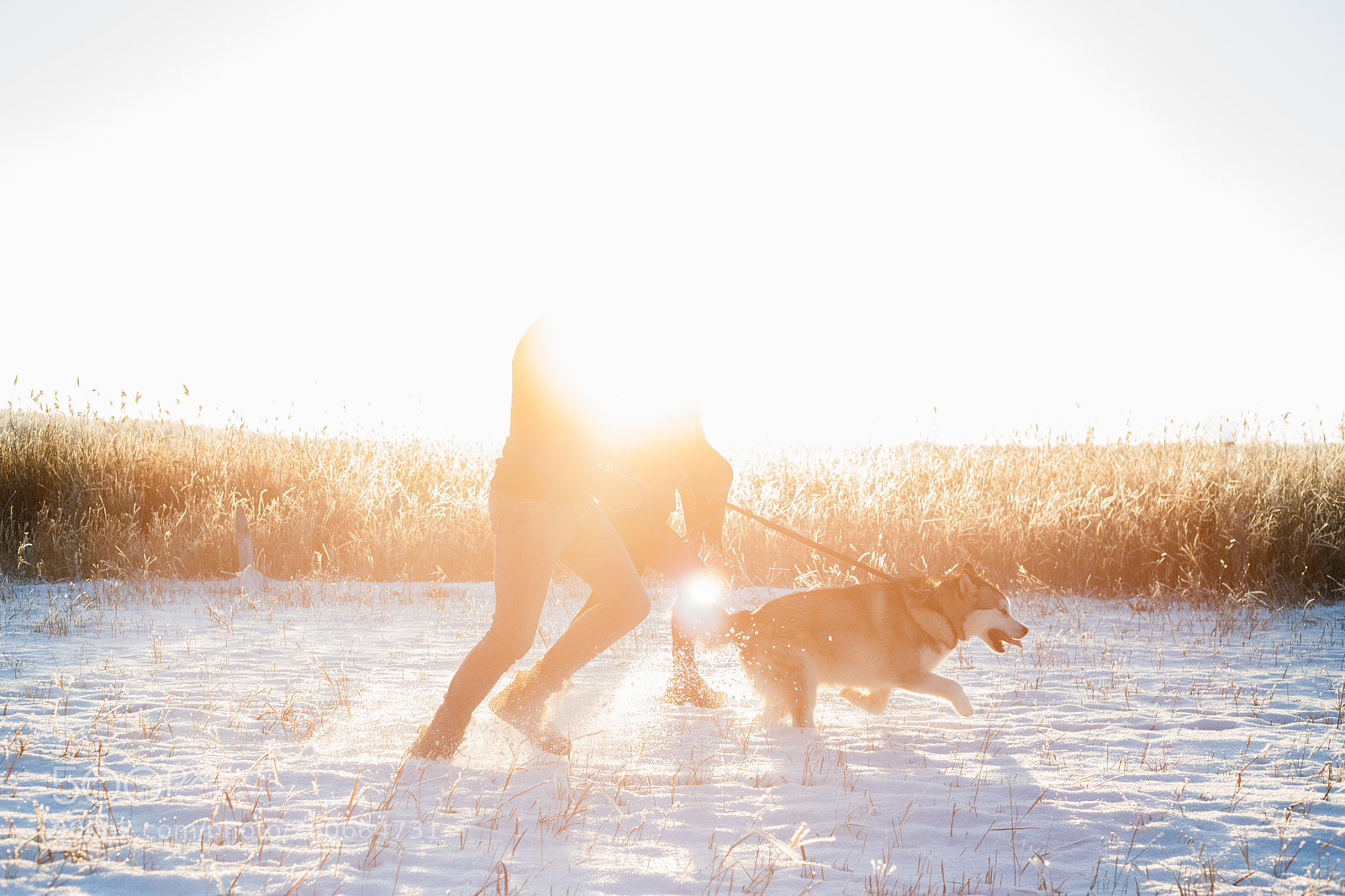 Canon EOS 6D sample photo. Doggy walking photography